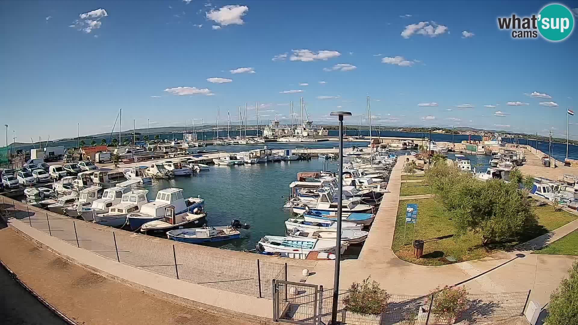 Webcam Live Tkon – puerto deportivo