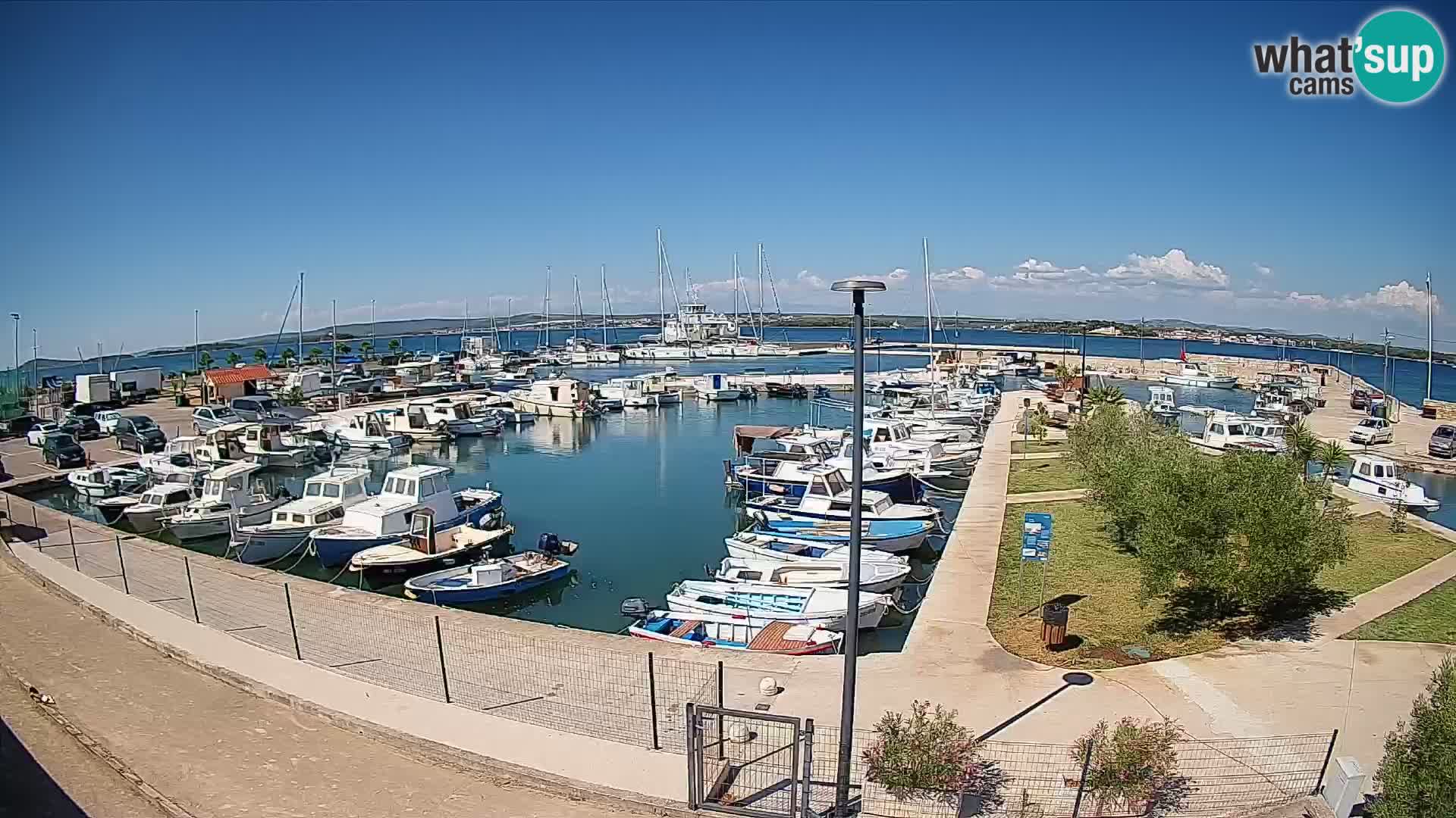 Spletna kamera Tkon – Marina