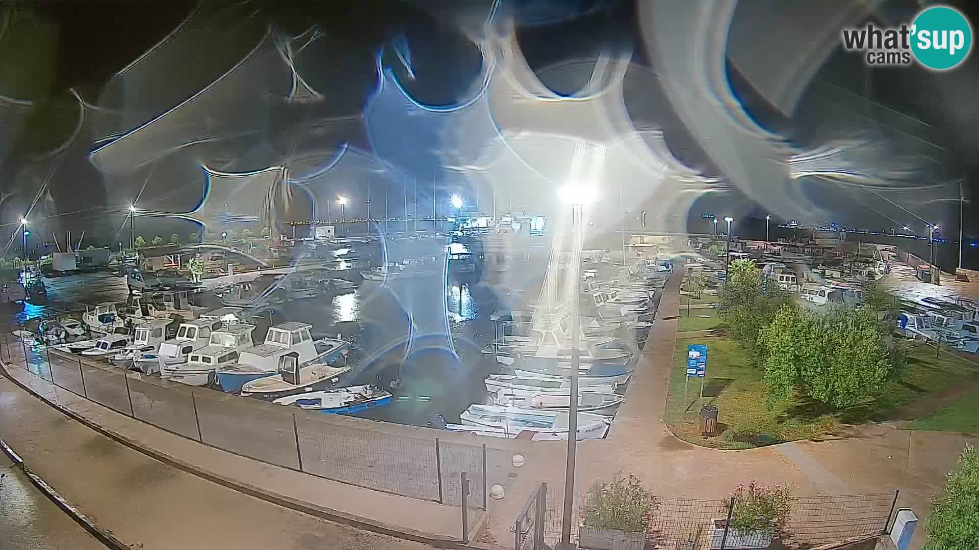 Spletna kamera Tkon – Marina