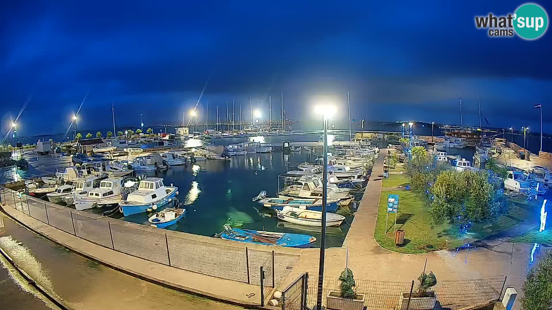 Webcam Live Tkon – Marina