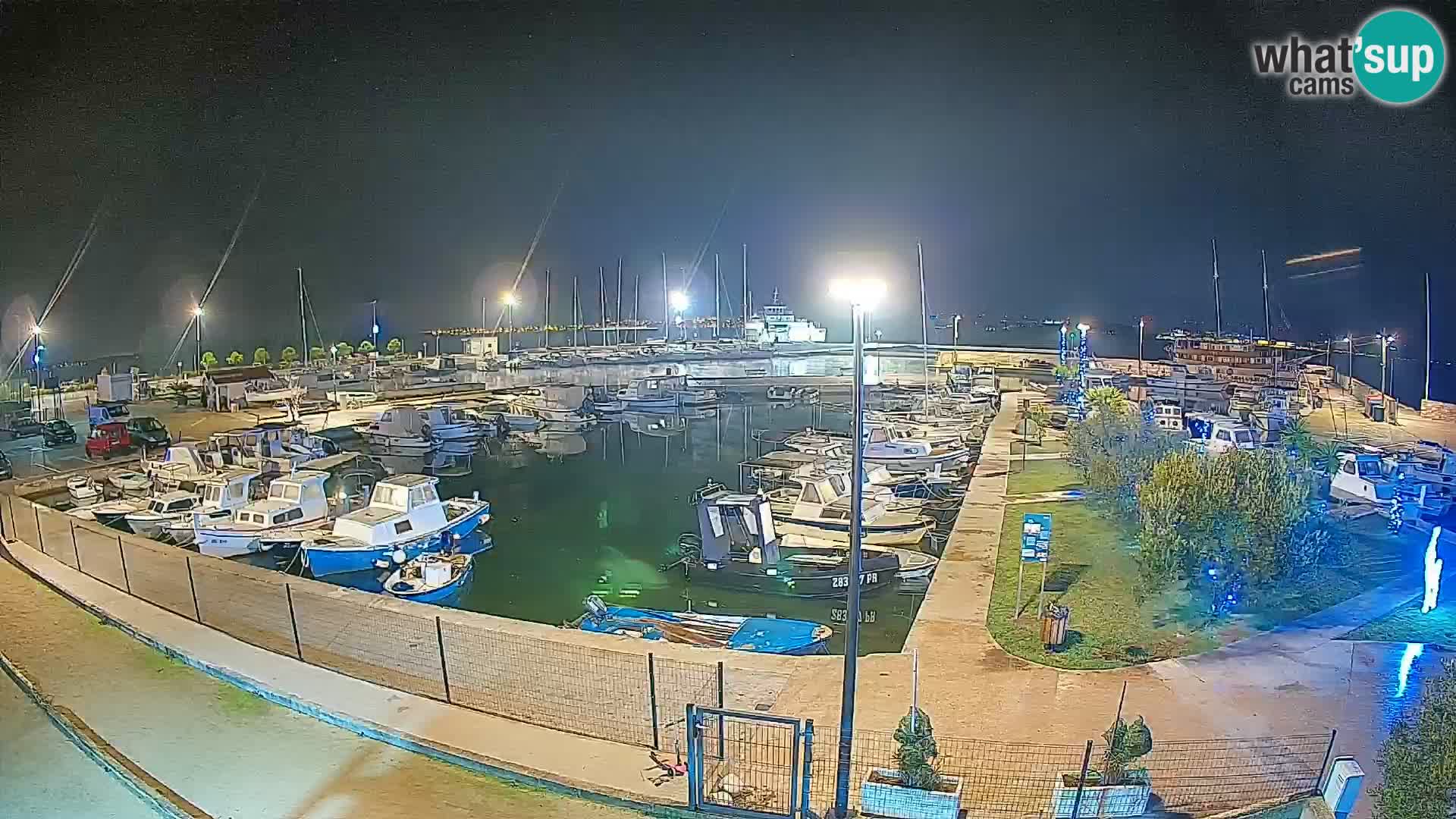 Webcam Live Tkon – Yachthafen