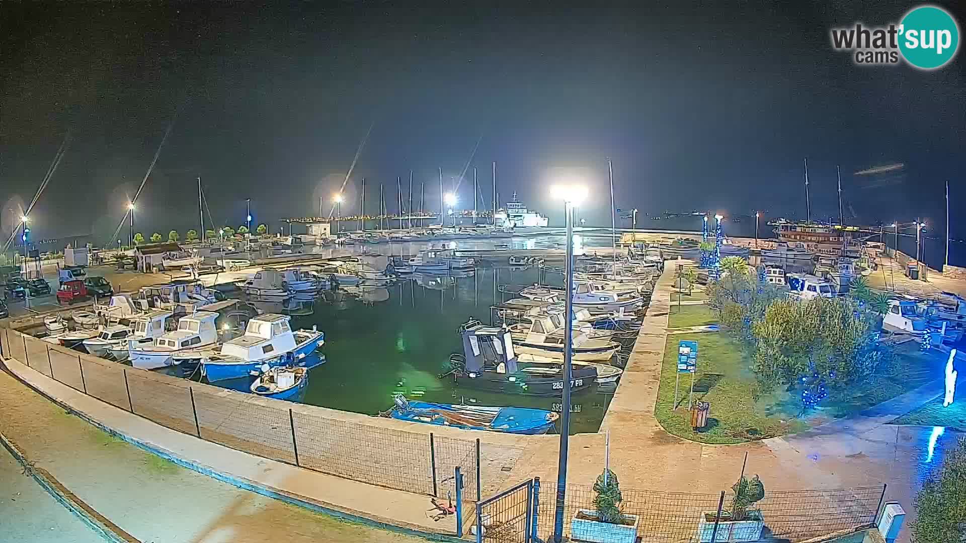 Webcam Live Tkon – Marina