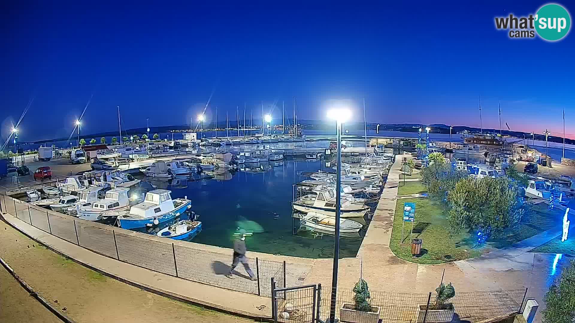 Webcam Live Tkon – puerto deportivo