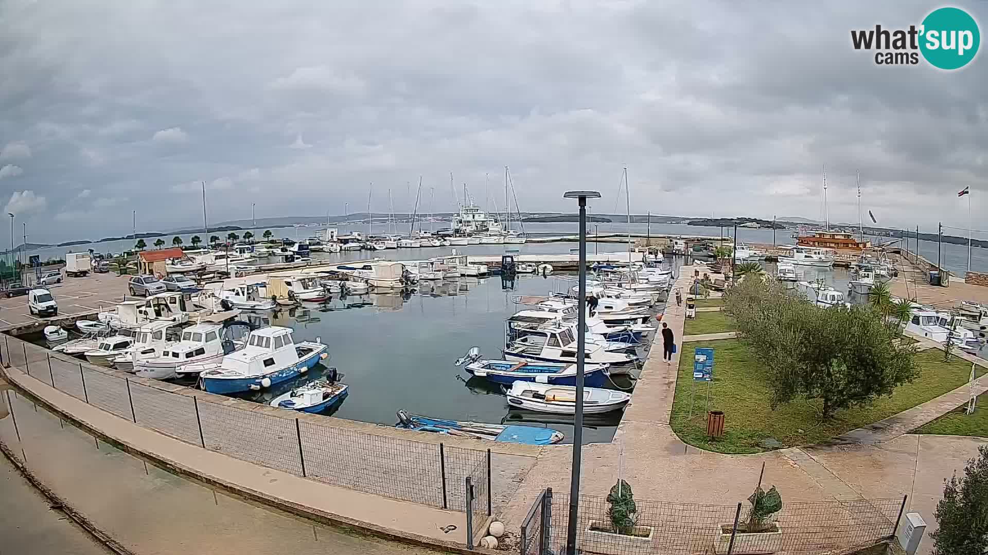 Spletna kamera Tkon – Marina