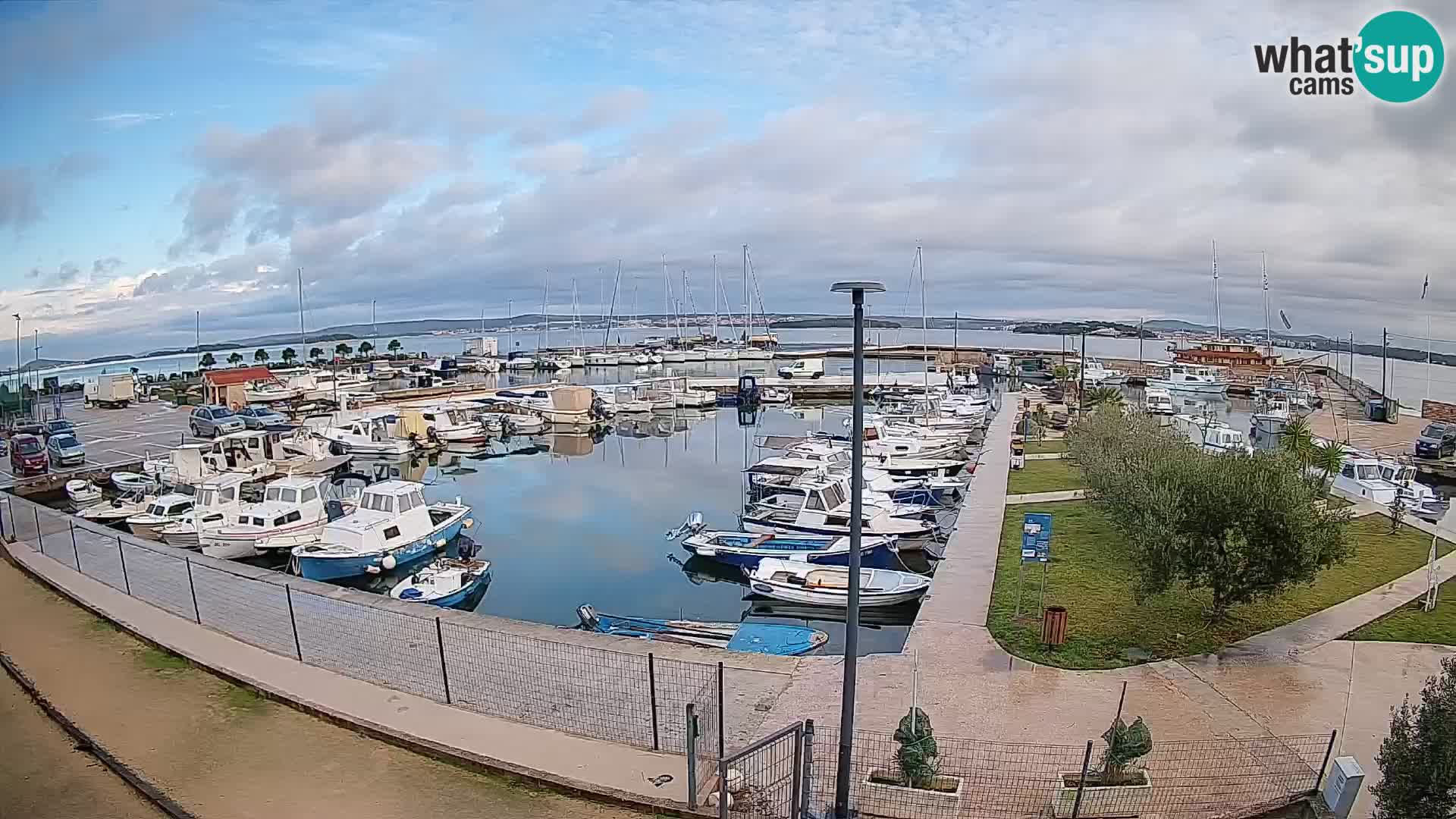 Webcam Live Tkon – Yachthafen