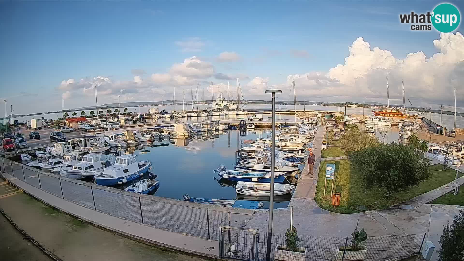 Webcam Live Tkon – Yachthafen