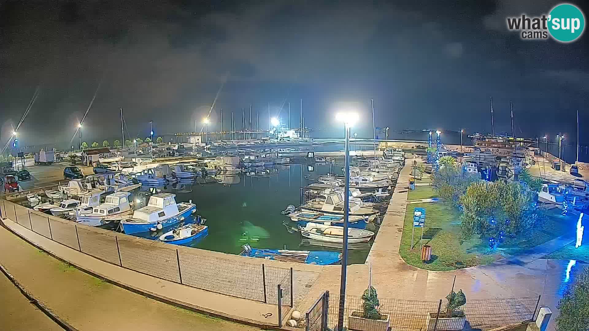 Webcam Live Tkon – Marina