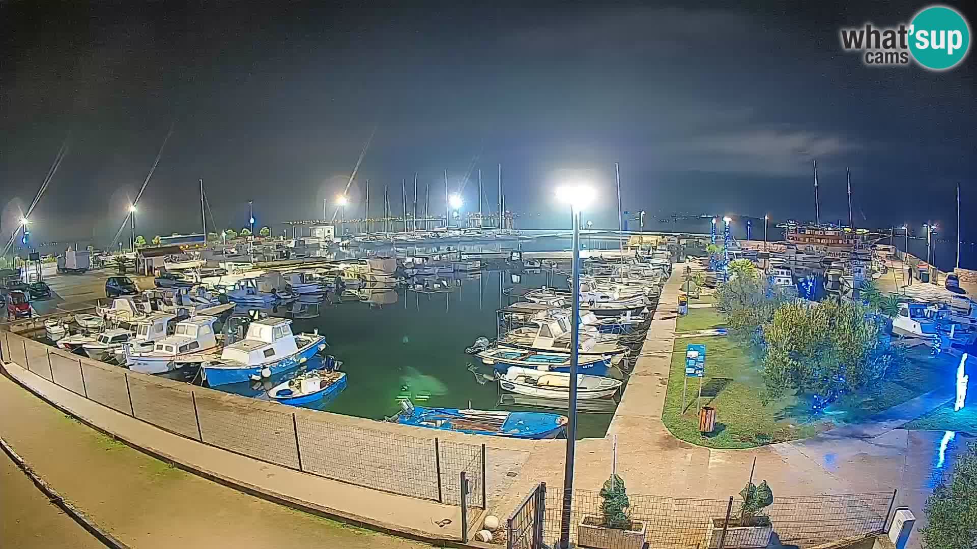 Webcam Live Tkon – Marina