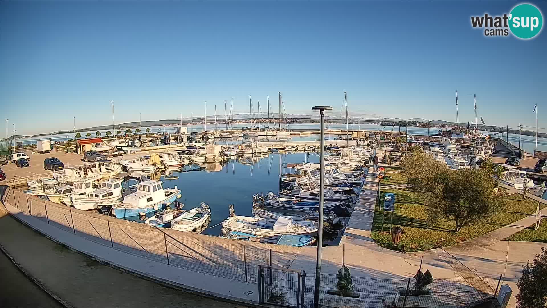 Webcam Live Tkon – Marina