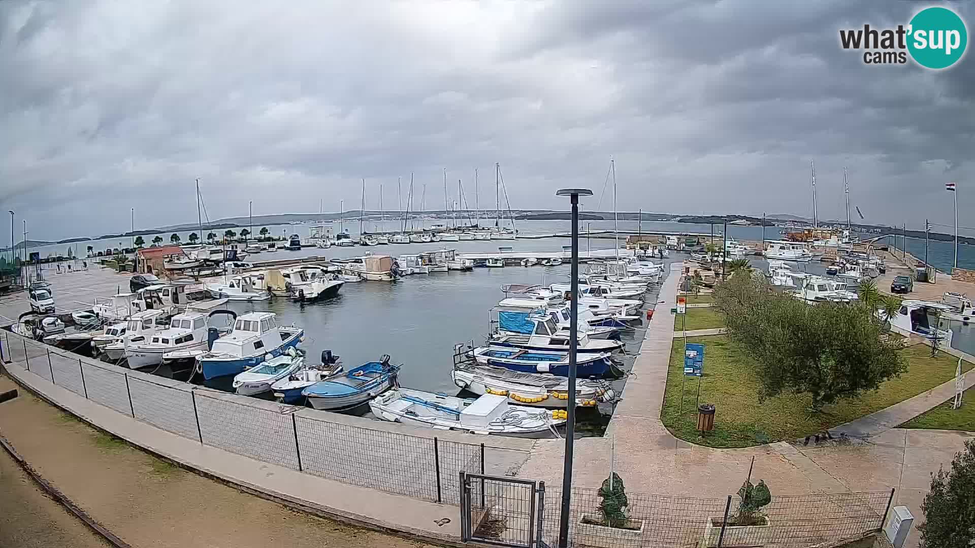 Webcam Live Tkon – Marina
