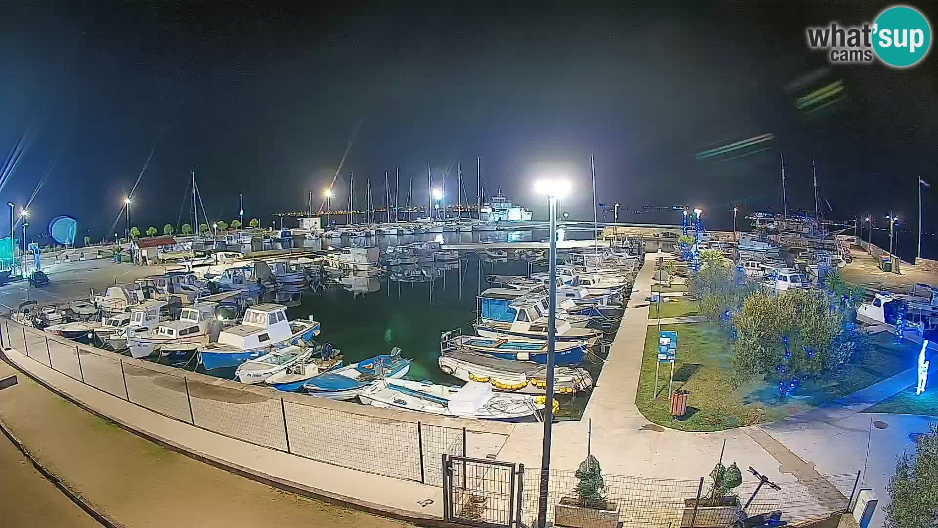 Webcam Live Tkon – Marina