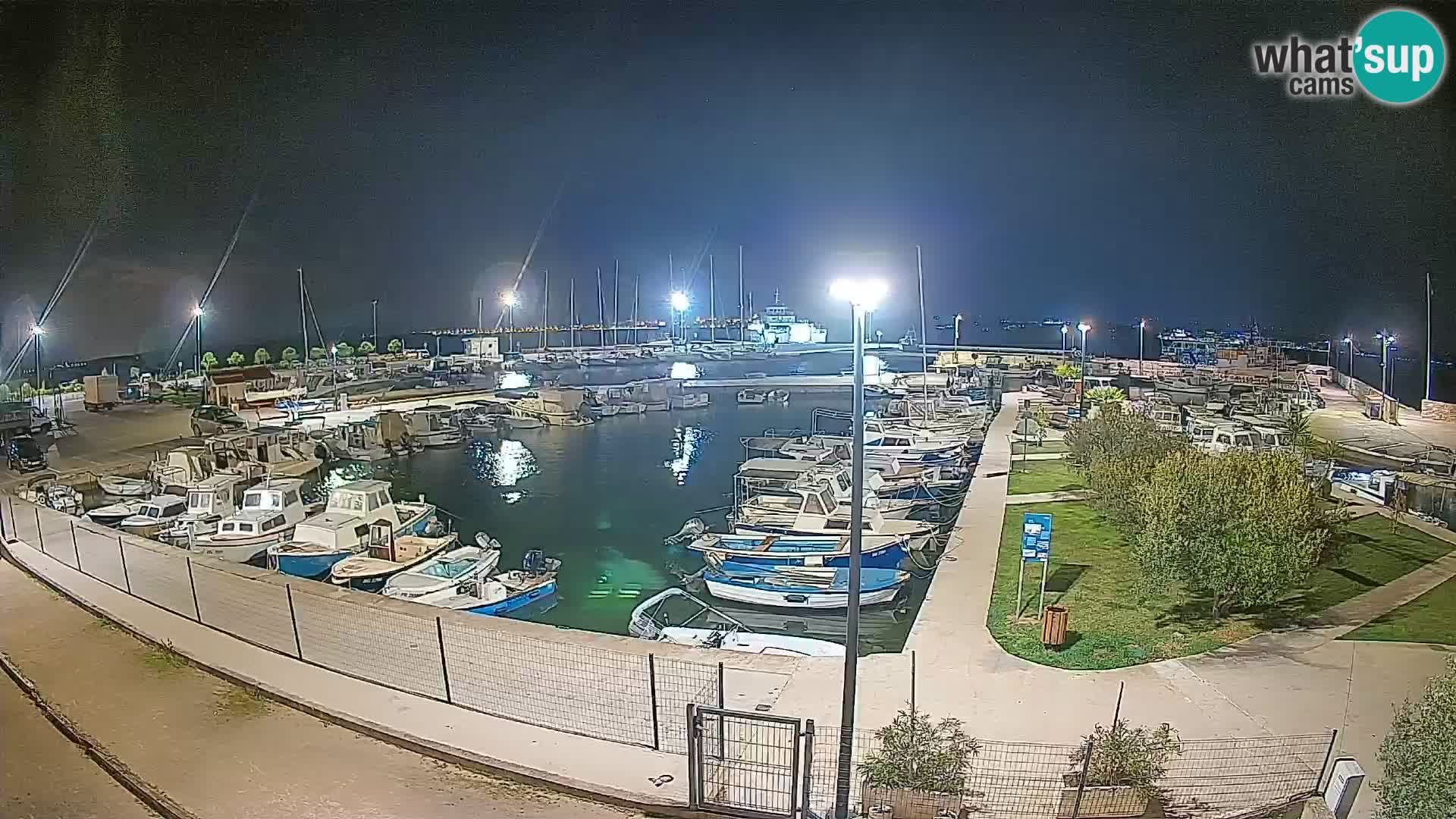 Webcam Live Tkon – Yachthafen