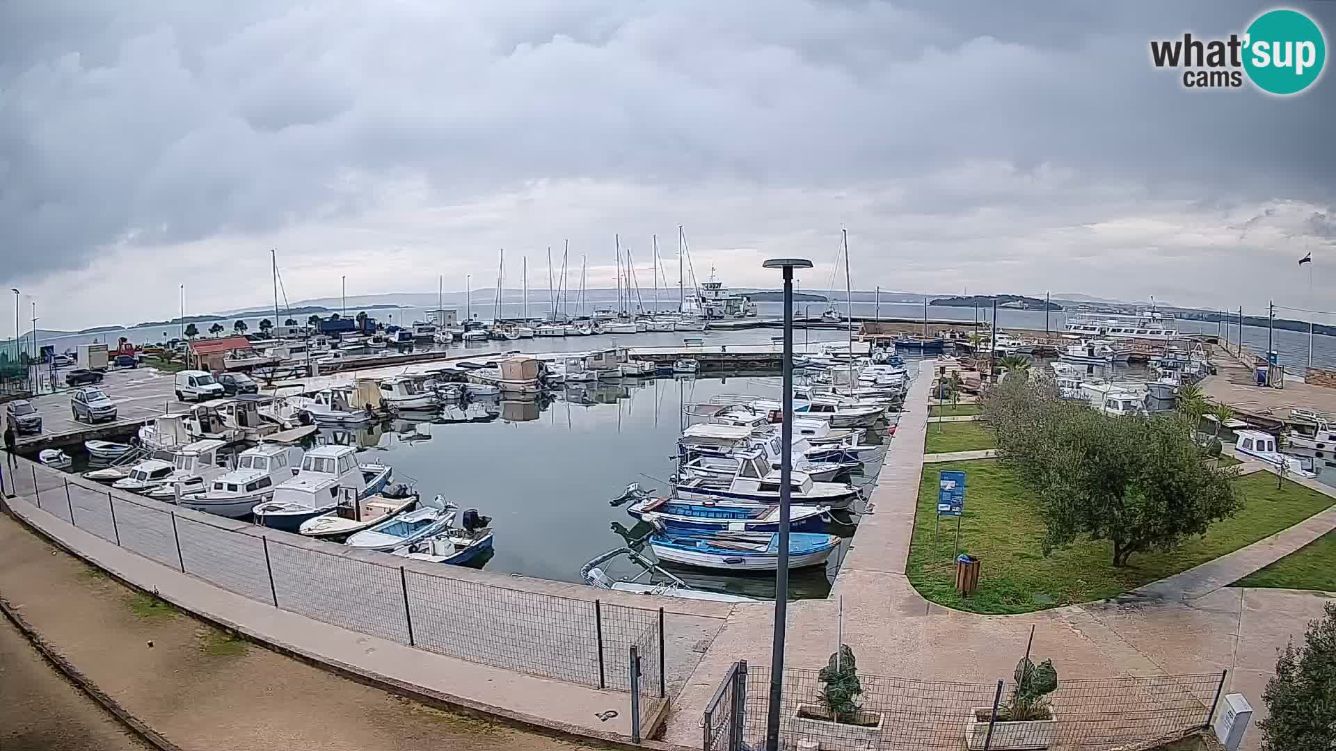 Webcam Live Tkon – Marina