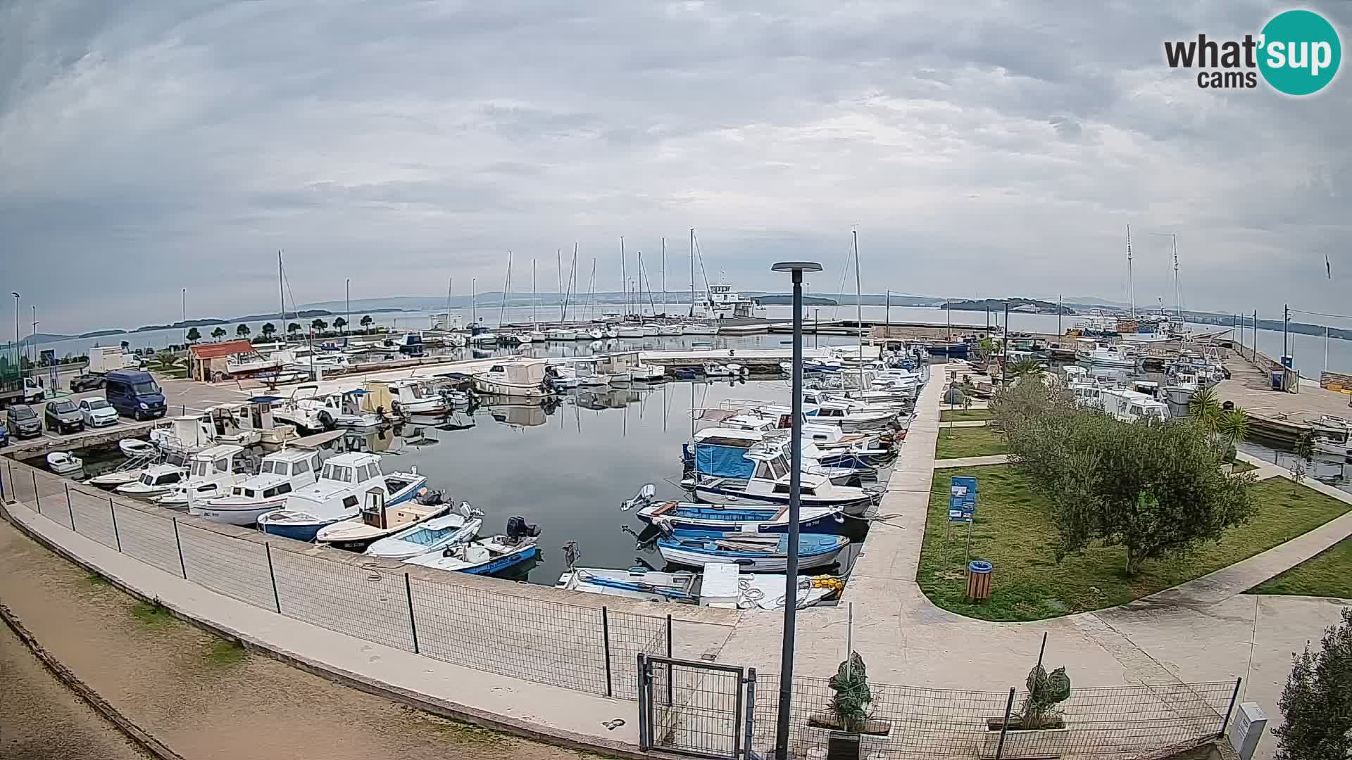 Web kamera Tkon – Marina