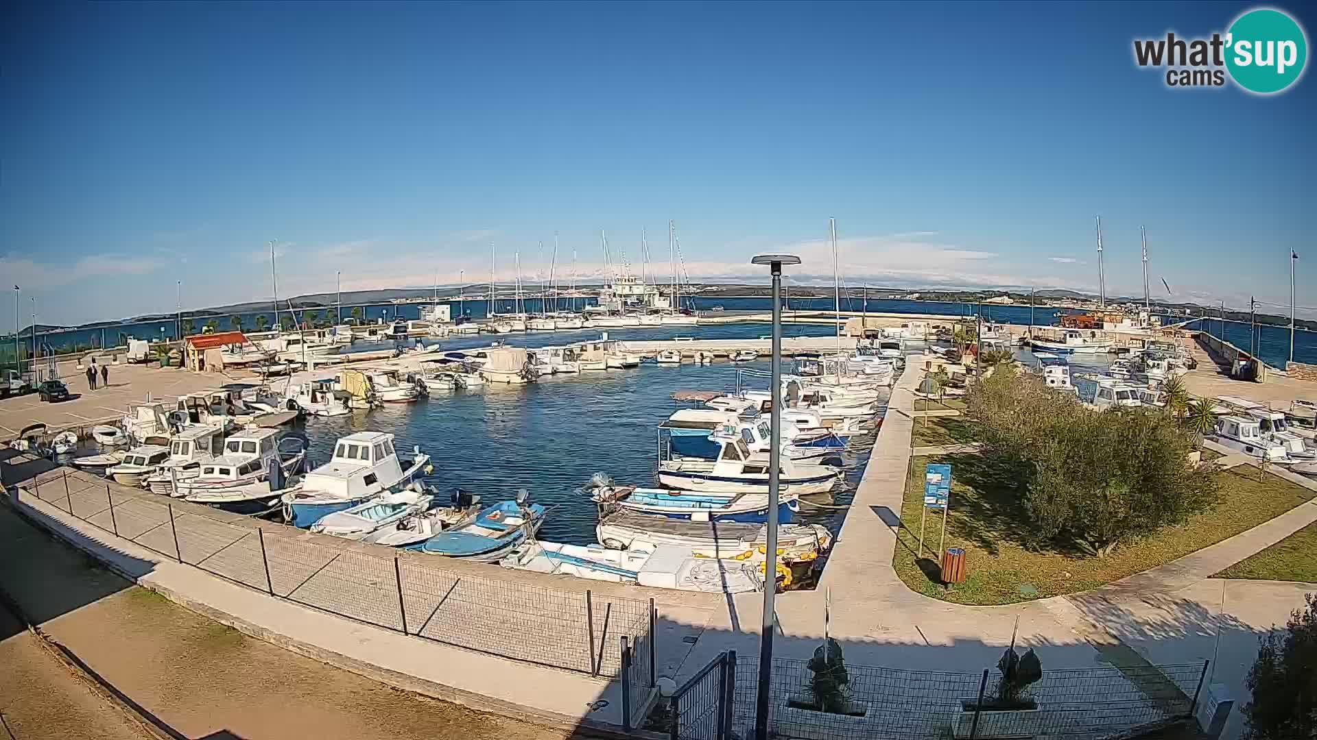 Webcam Live Tkon – Marina
