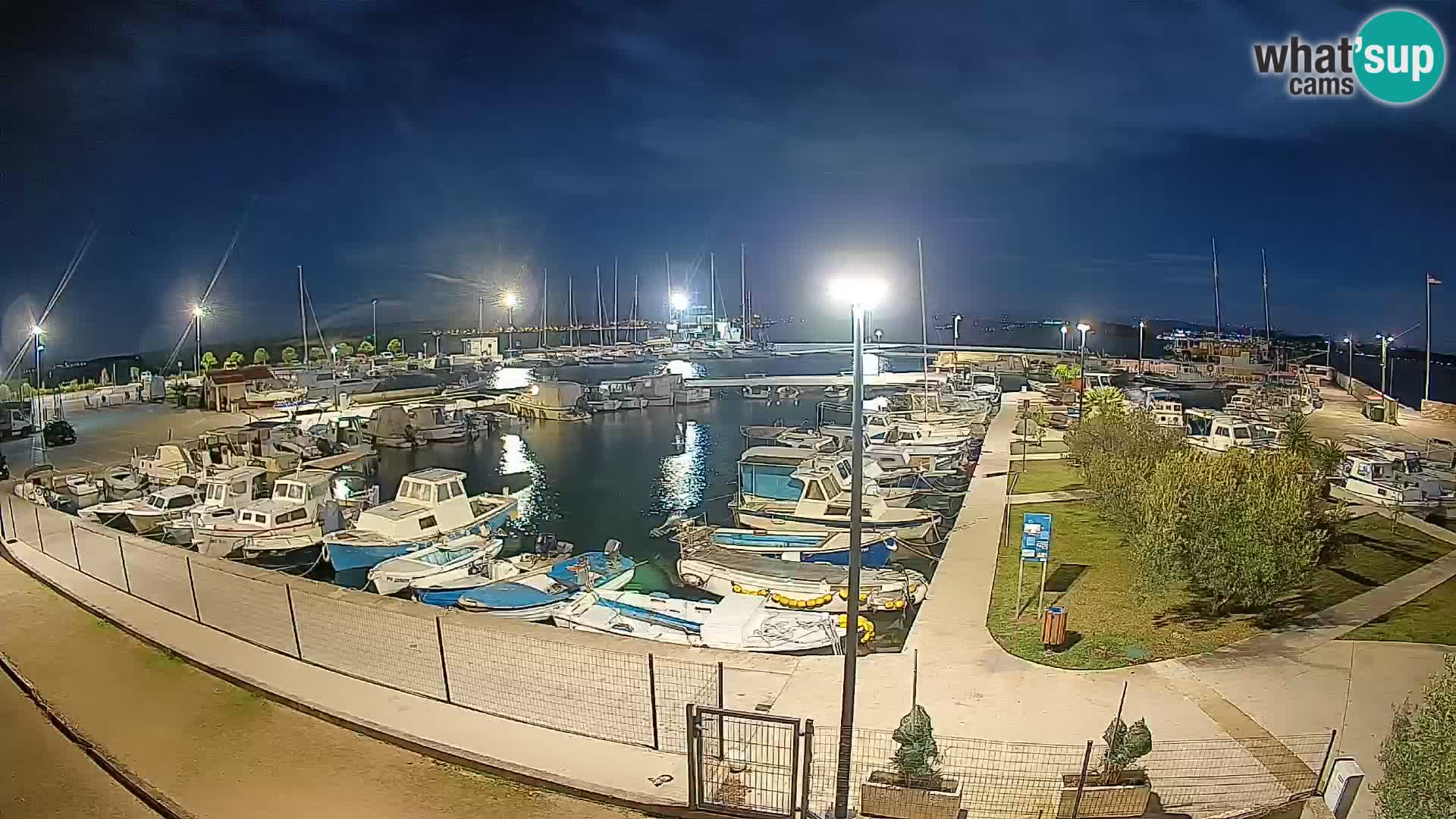 Webcam Live Tkon – Marina