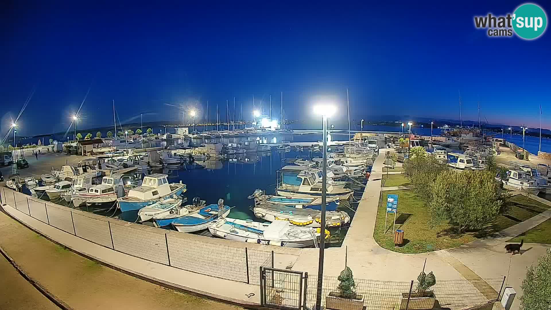 Webcam Live Tkon – Yachthafen