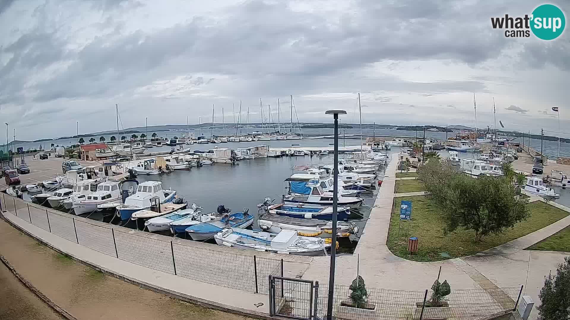 Spletna kamera Tkon – Marina