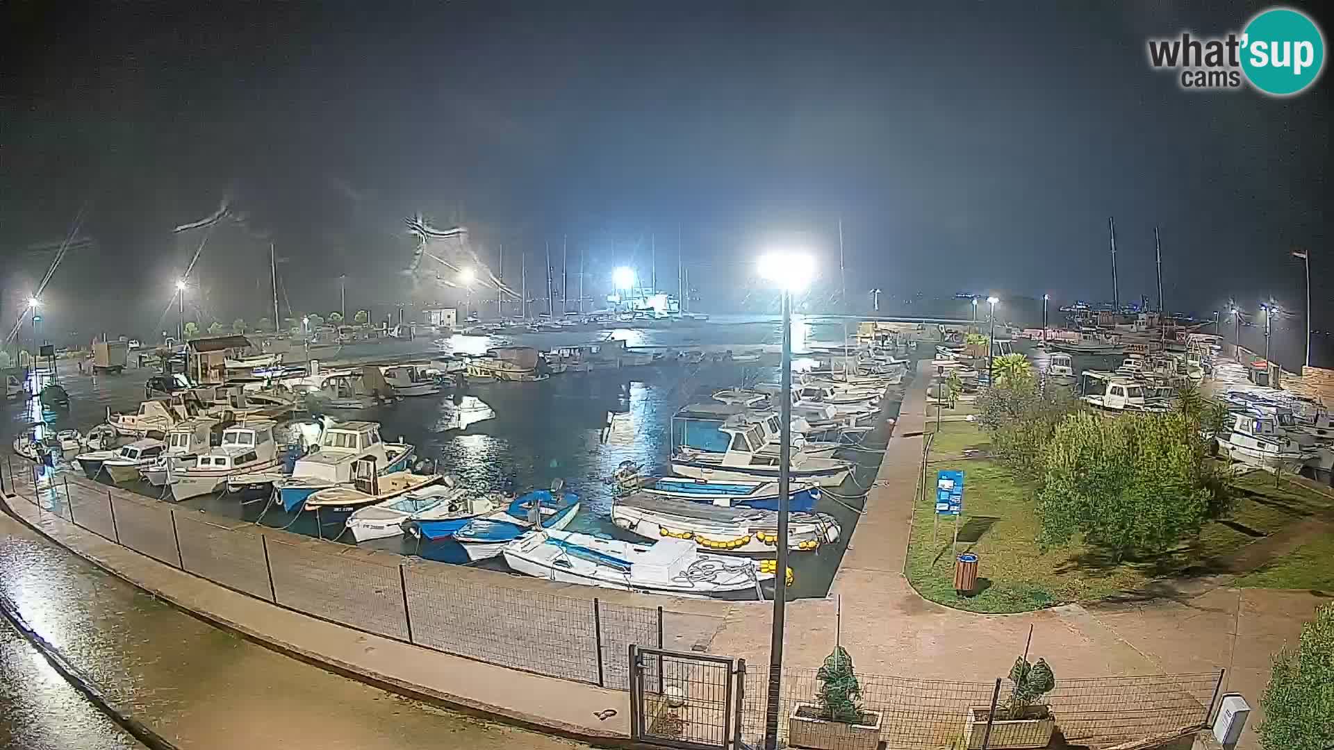 Spletna kamera Tkon – Marina