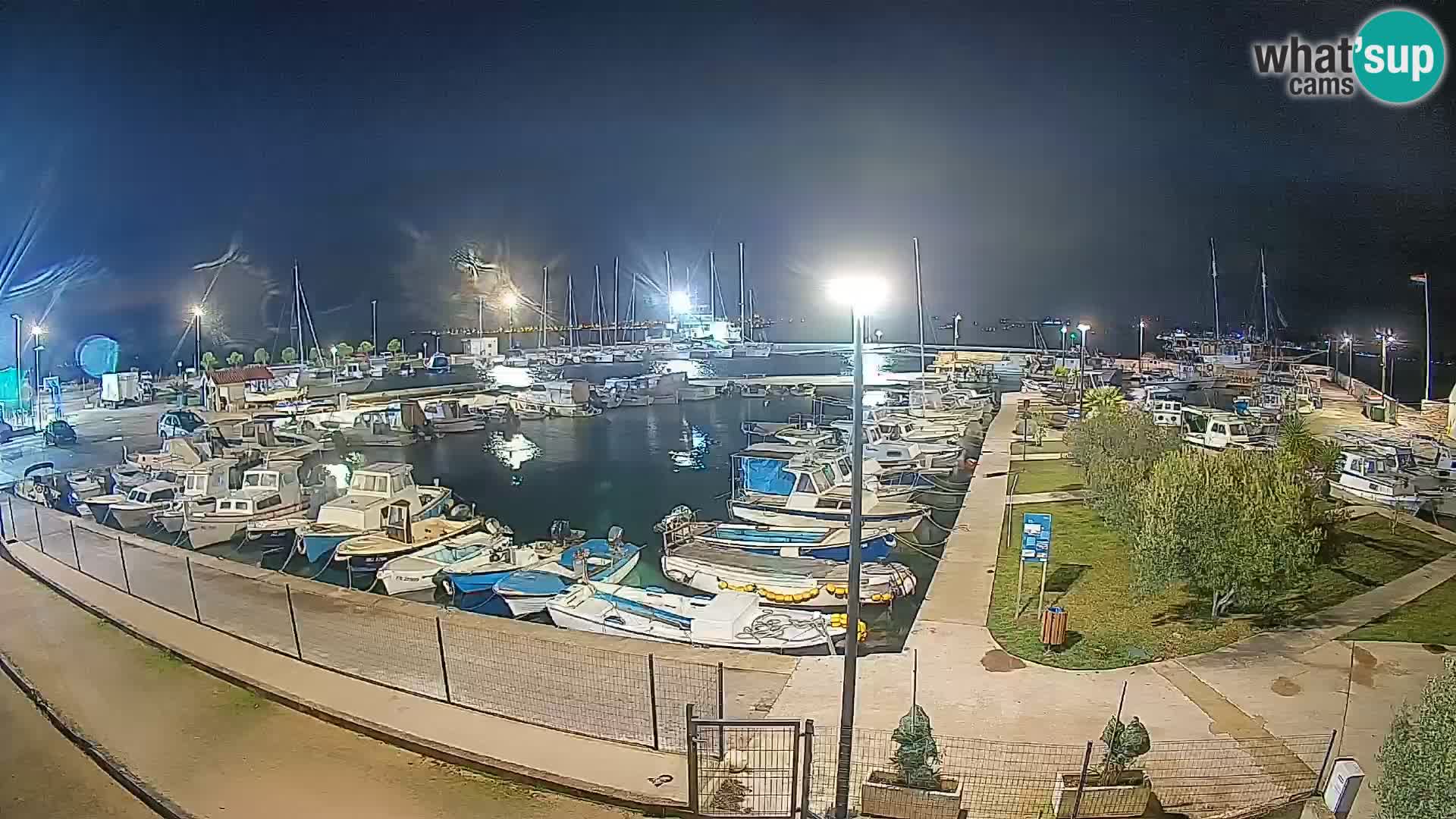 Webcam Live Tkon – Marina