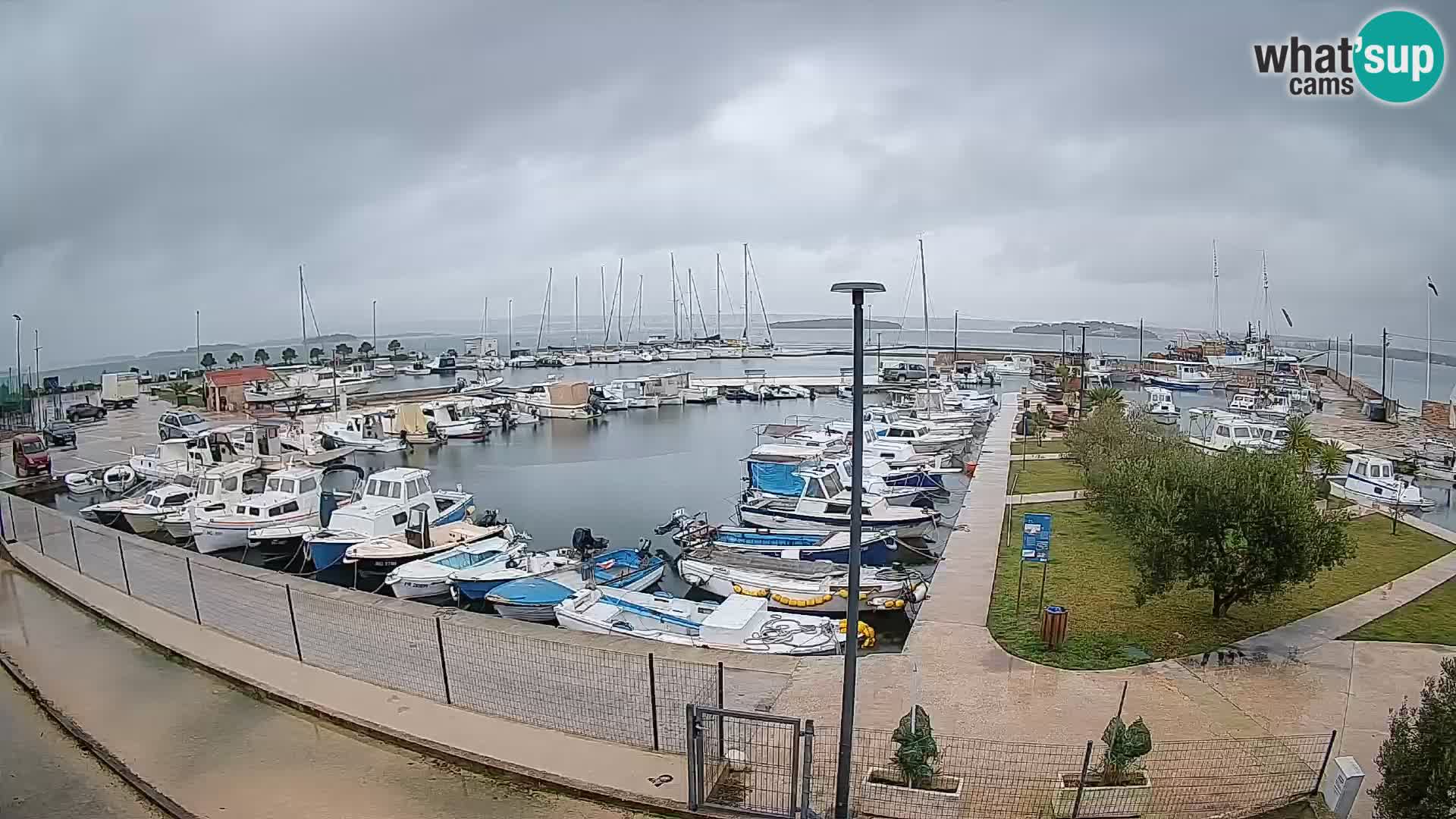 Webcam Live Tkon – Marina