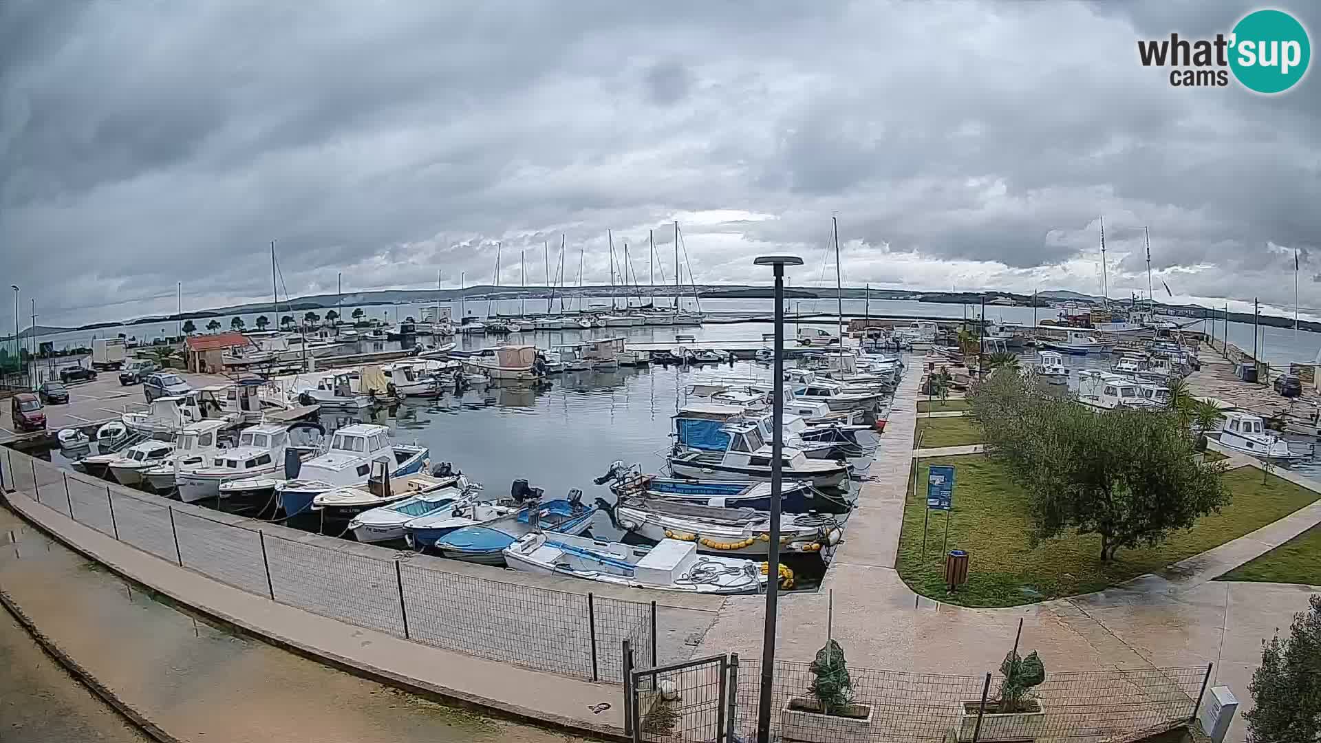 Web kamera Tkon – Marina