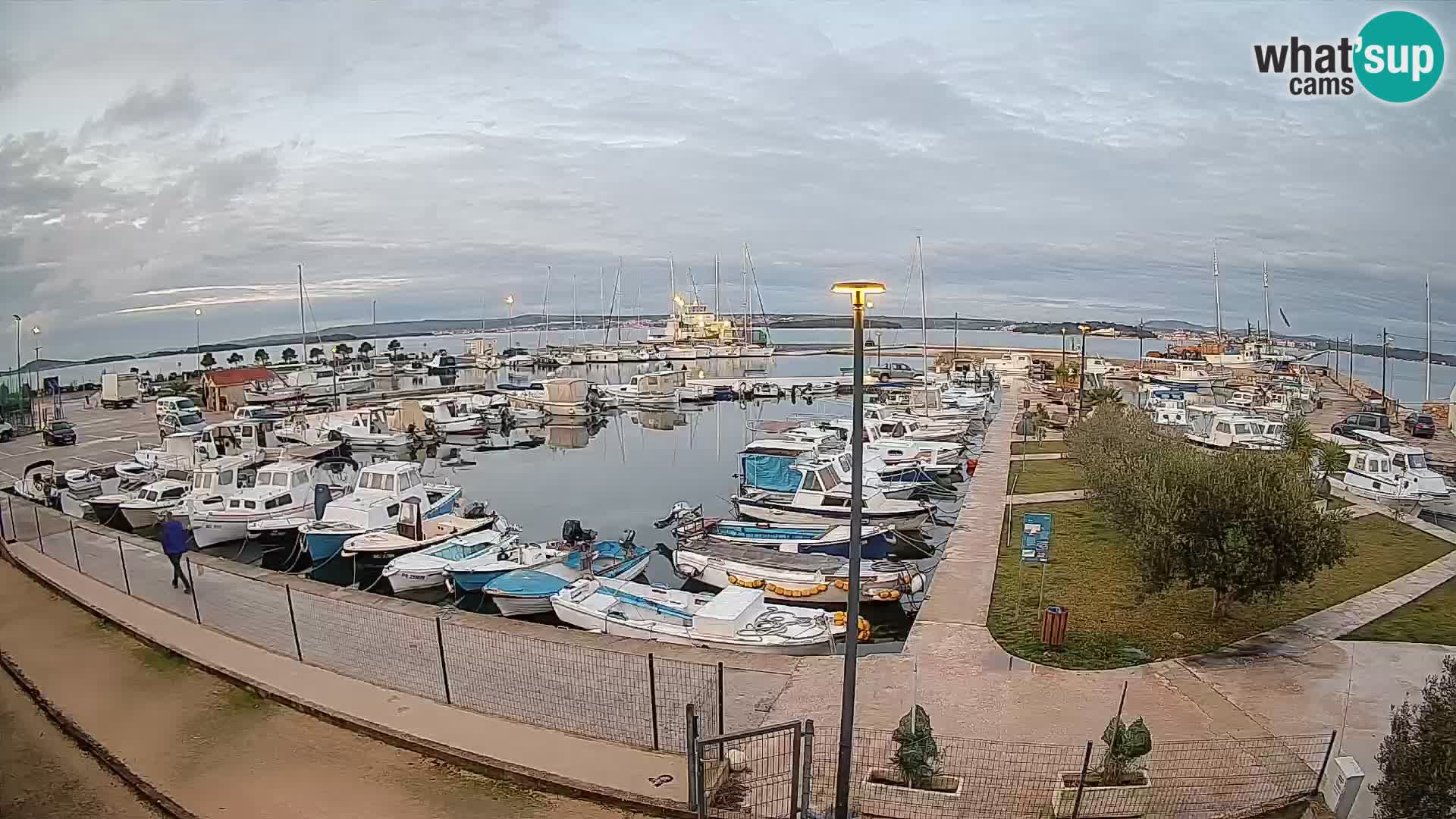 Webcam Live Tkon – Marina
