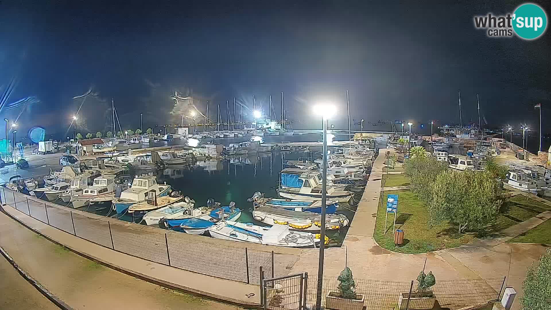 Webcam Live Tkon – Marina