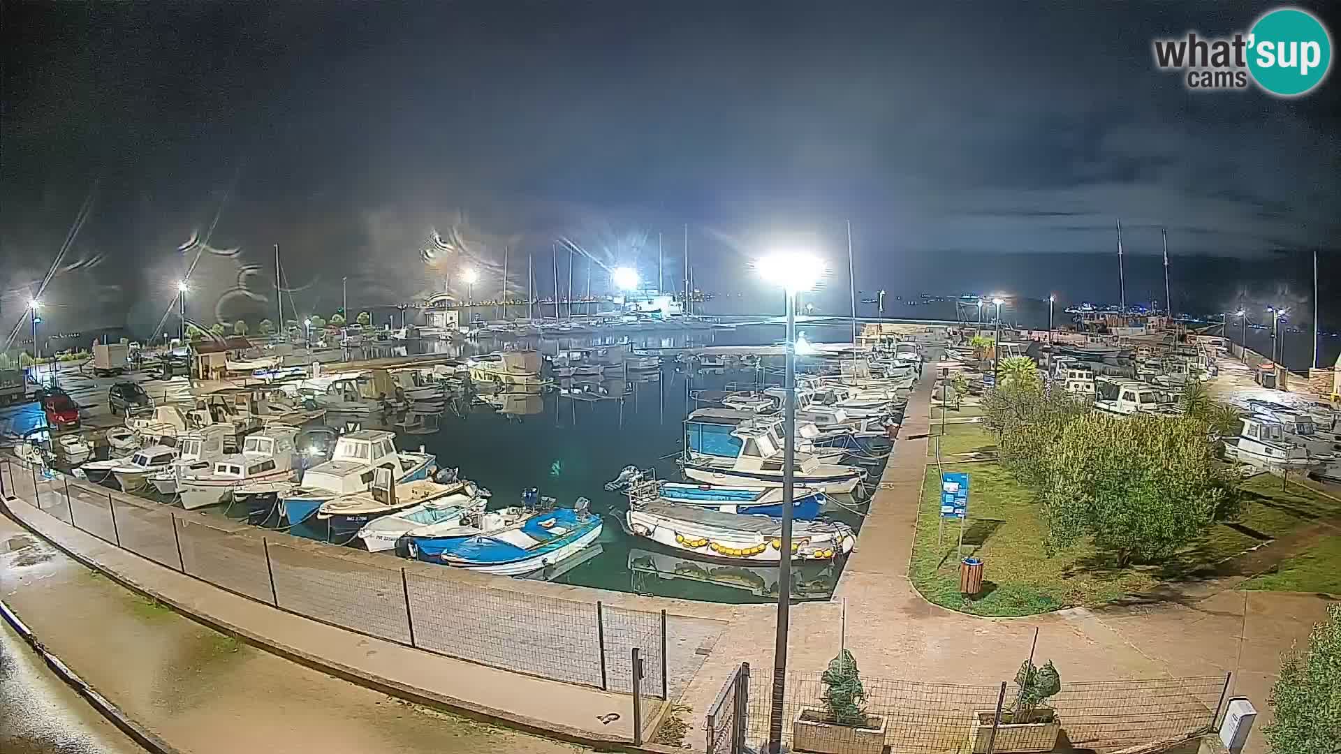 Webcam Live Tkon – Yachthafen