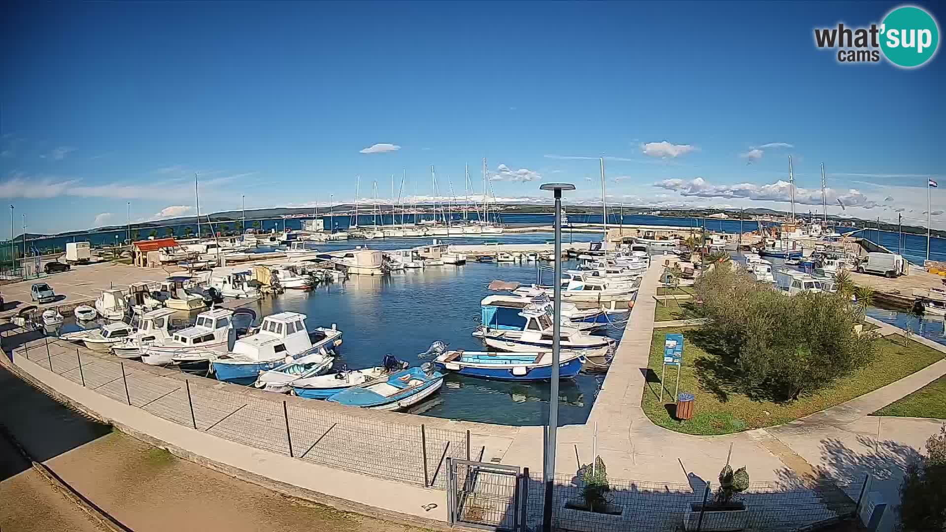 Webcam Live Tkon – Marina