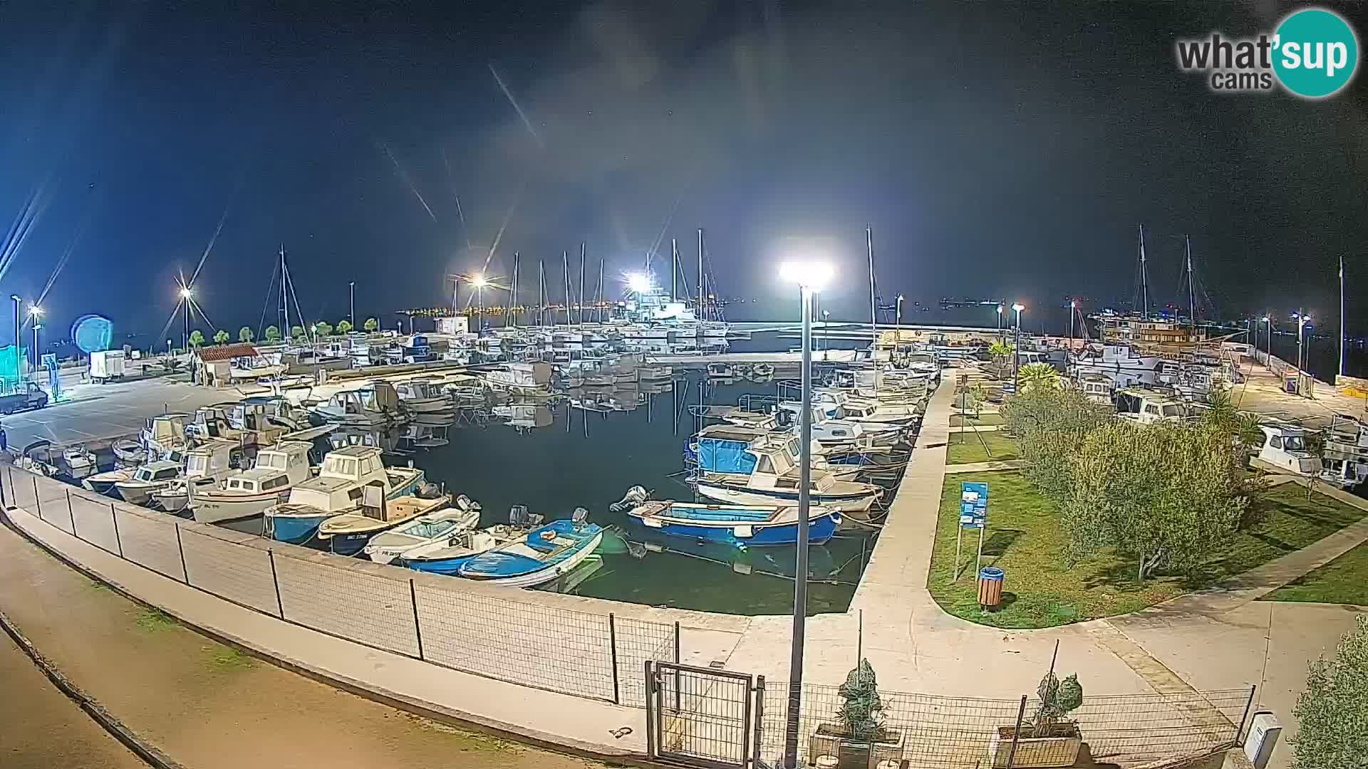 Webcam Live Tkon – Marina