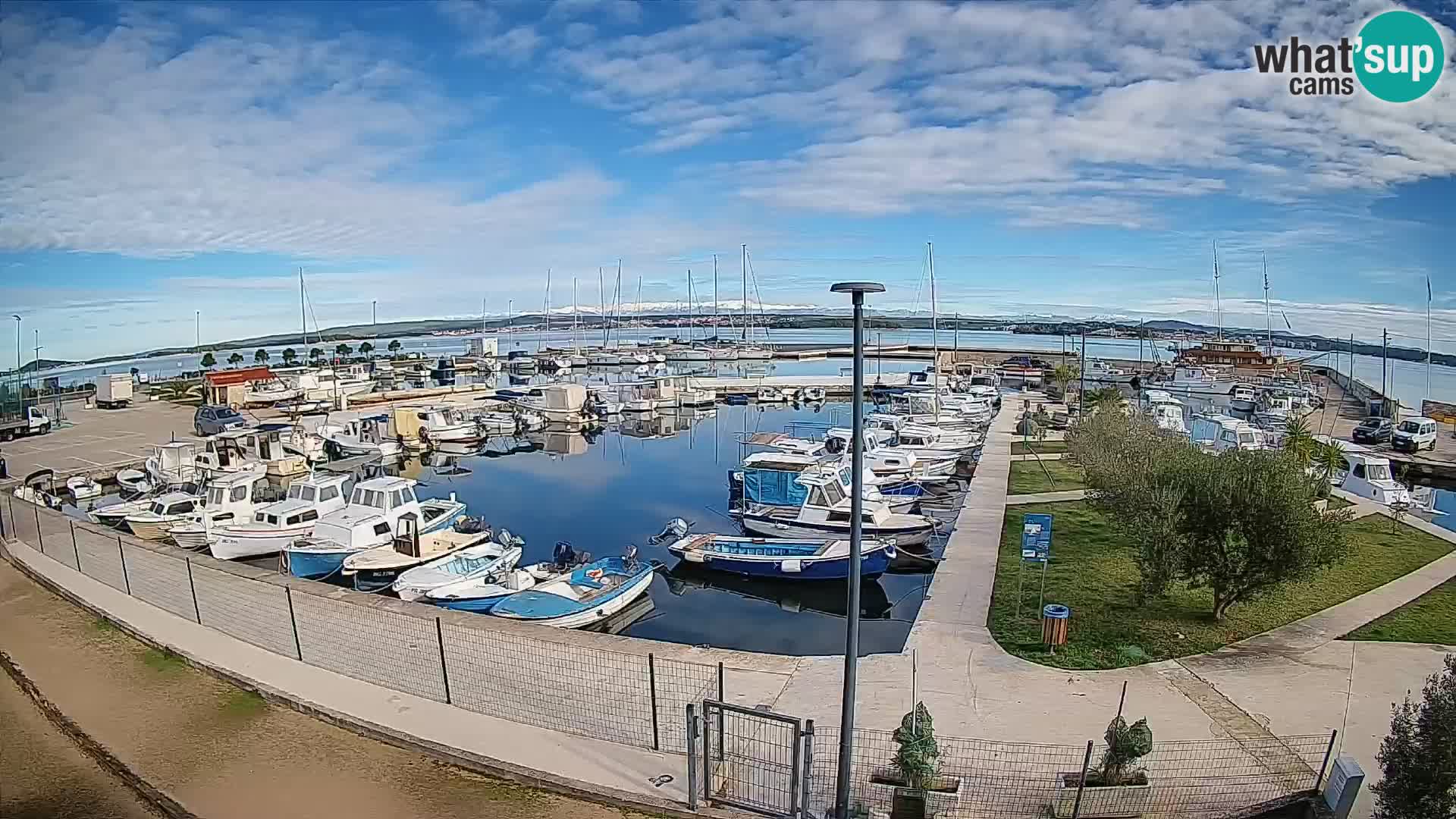 Webcam Live Tkon – Yachthafen