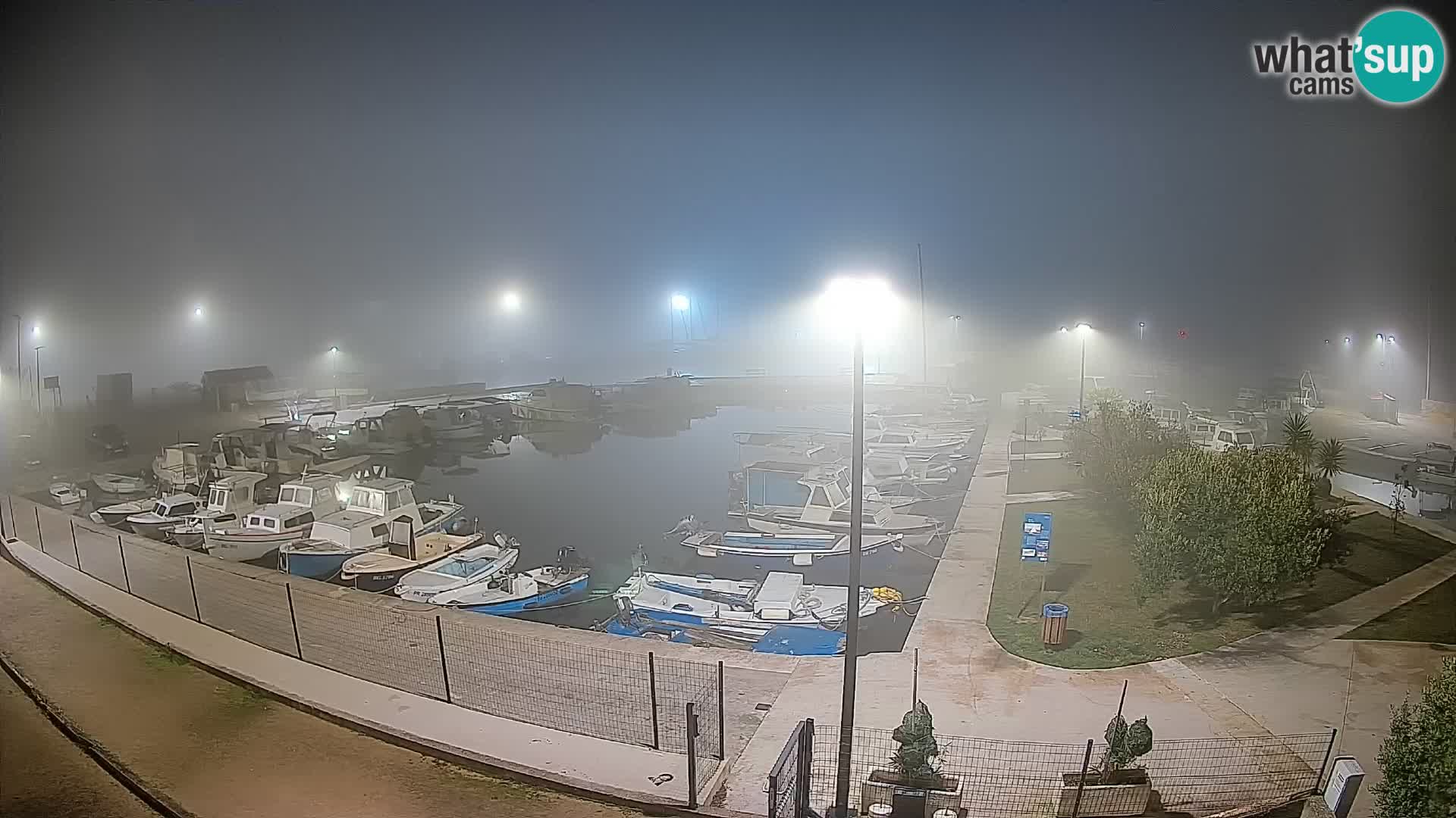 Webcam Live Tkon – puerto deportivo