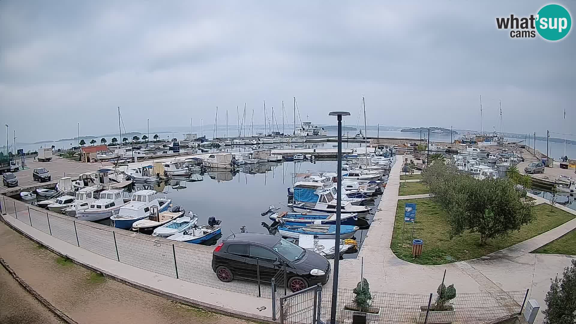 Spletna kamera Tkon – Marina