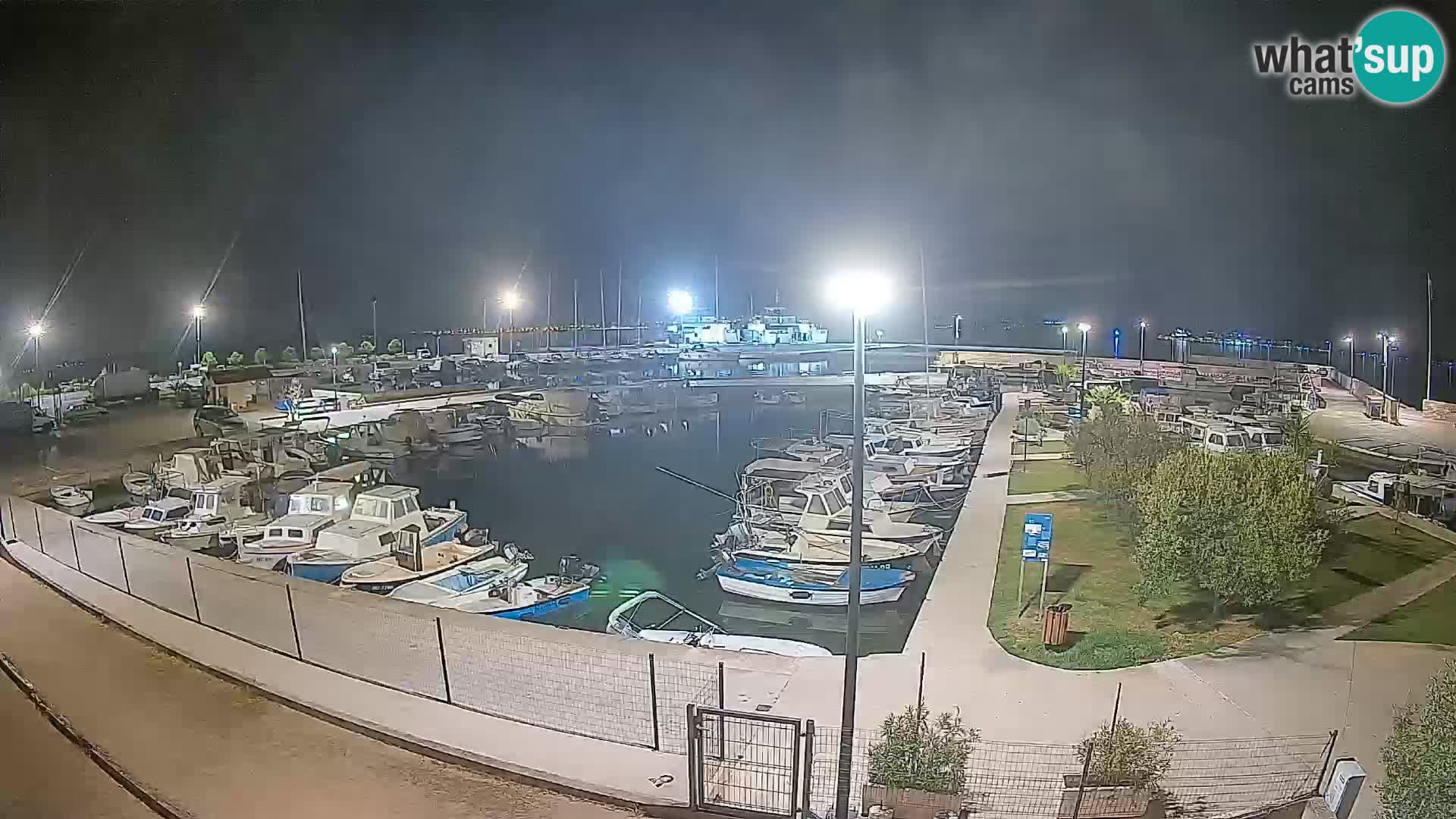 Webcam Live Tkon – Marina