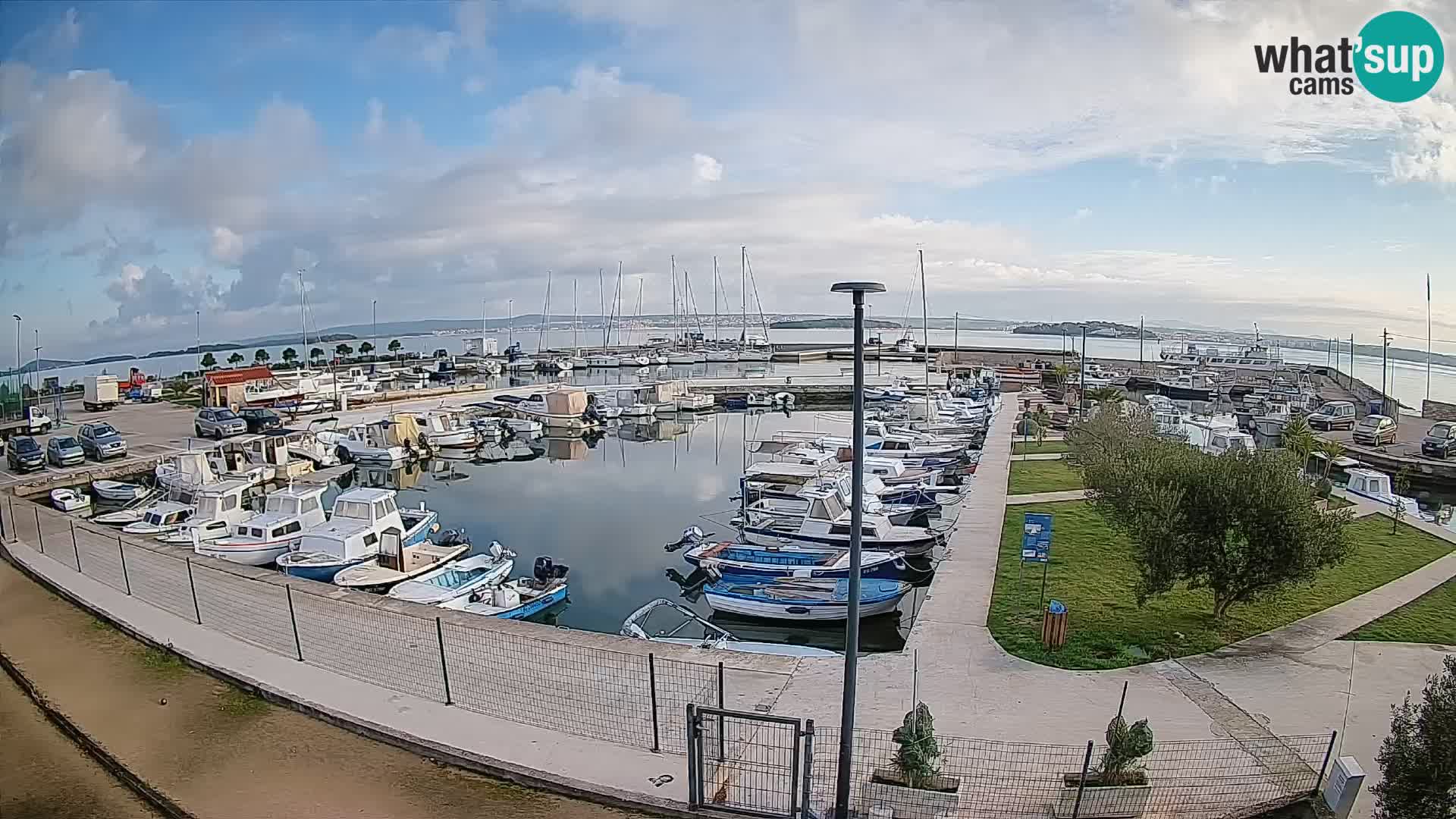 Webcam Live Tkon – Marina