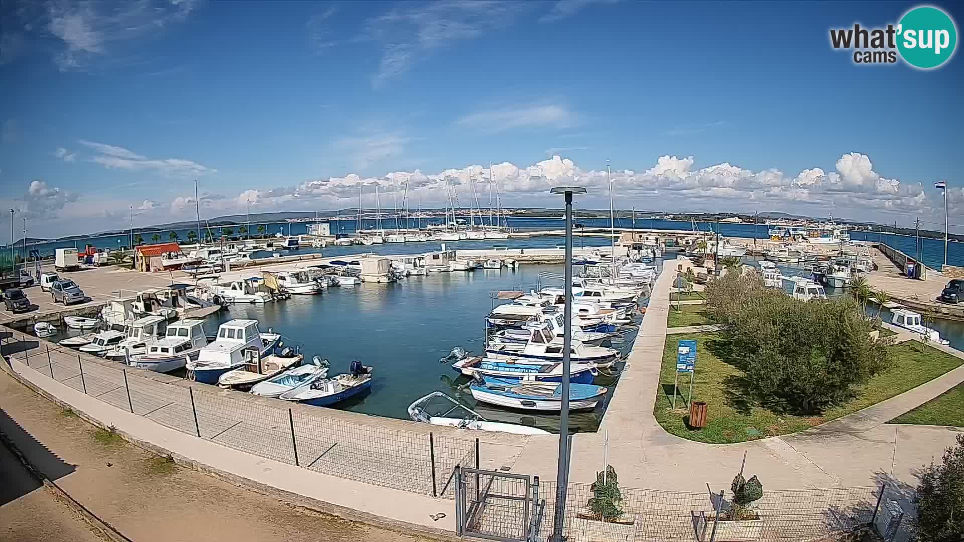 Webcam Live Tkon – Yachthafen