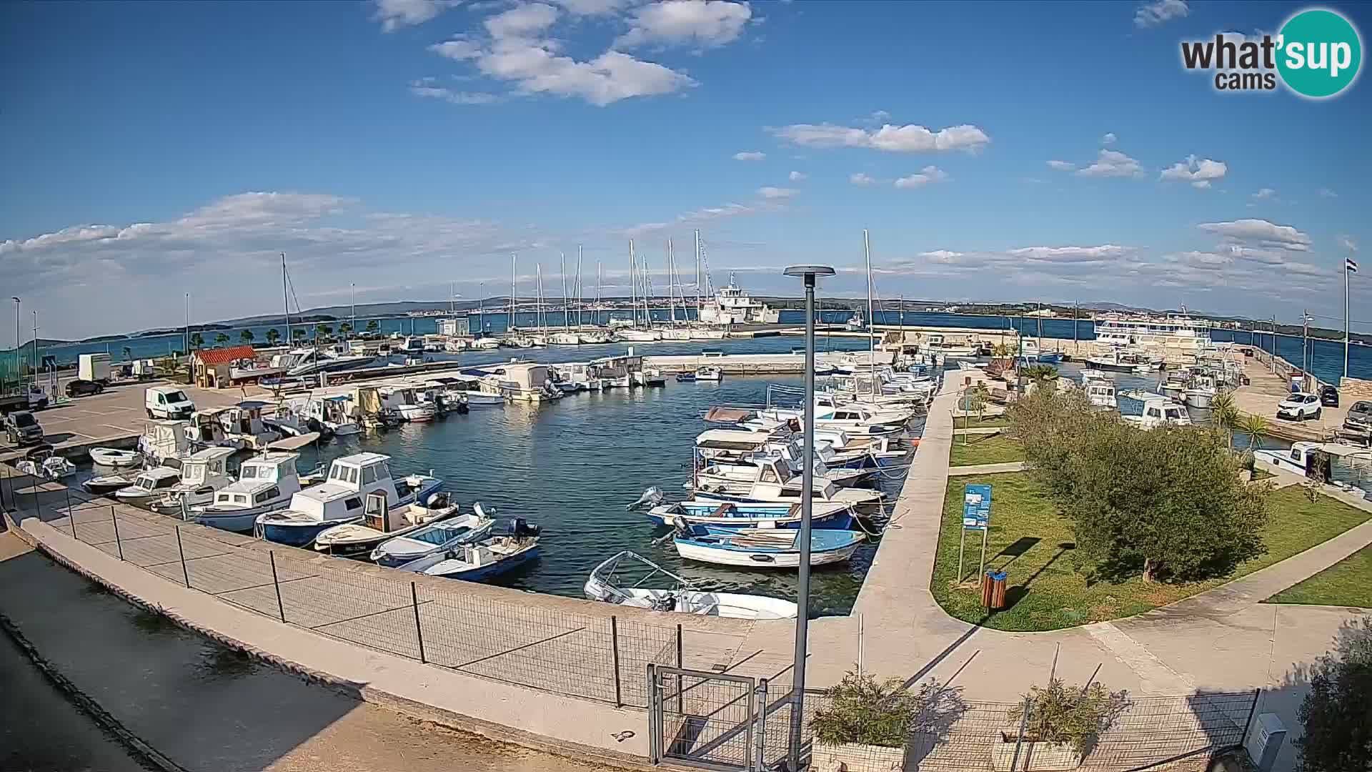 Webcam Live Tkon – Marina