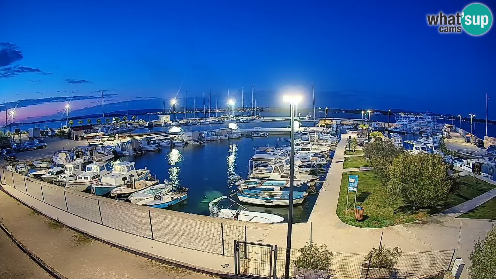 Webcam Live Tkon – Marina