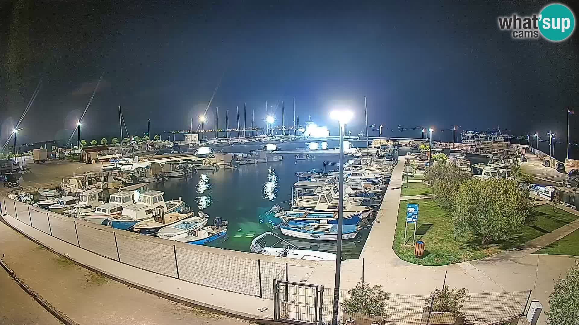 Webcam Live Tkon – port de plaisance