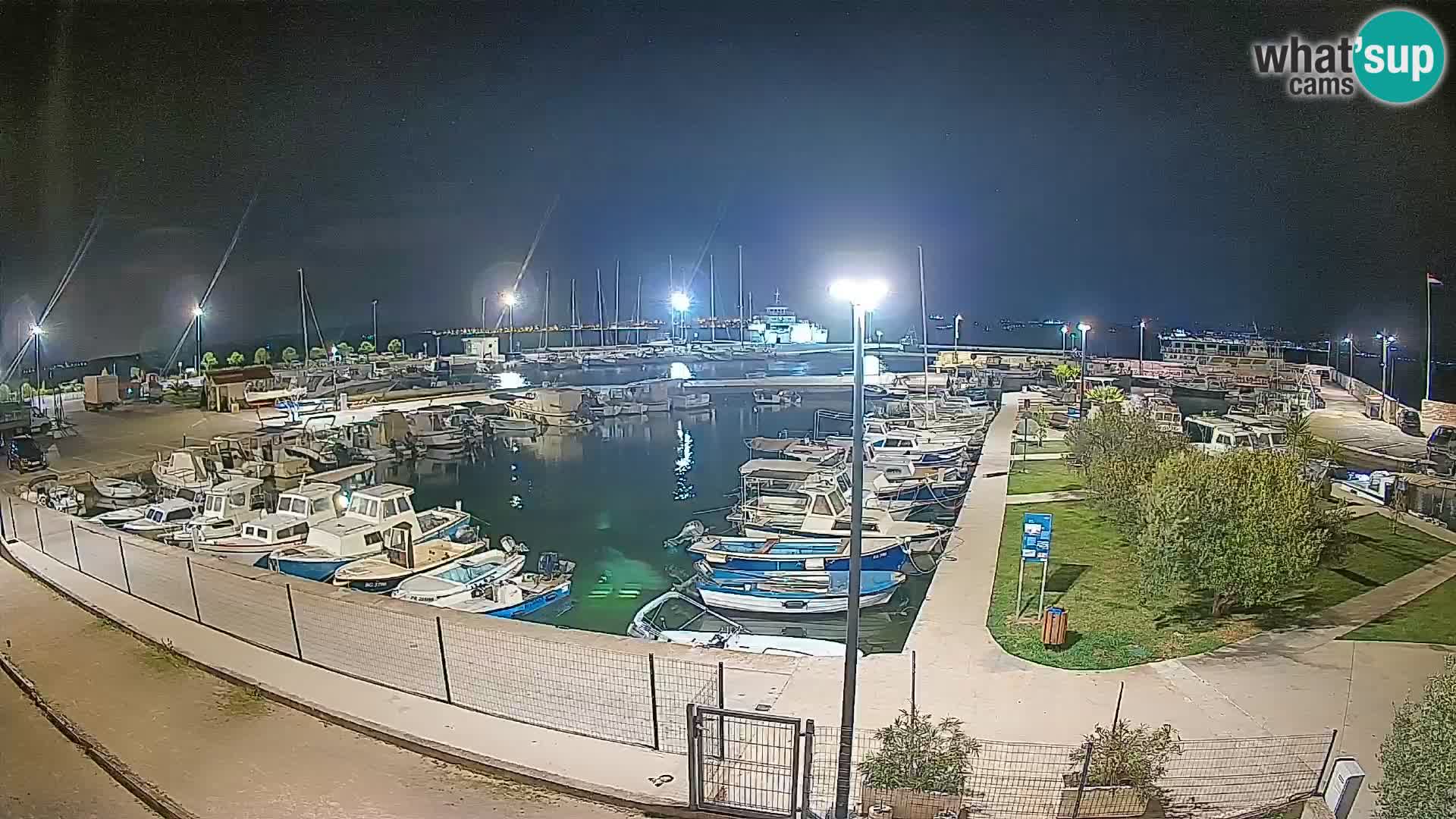 Spletna kamera Tkon – Marina