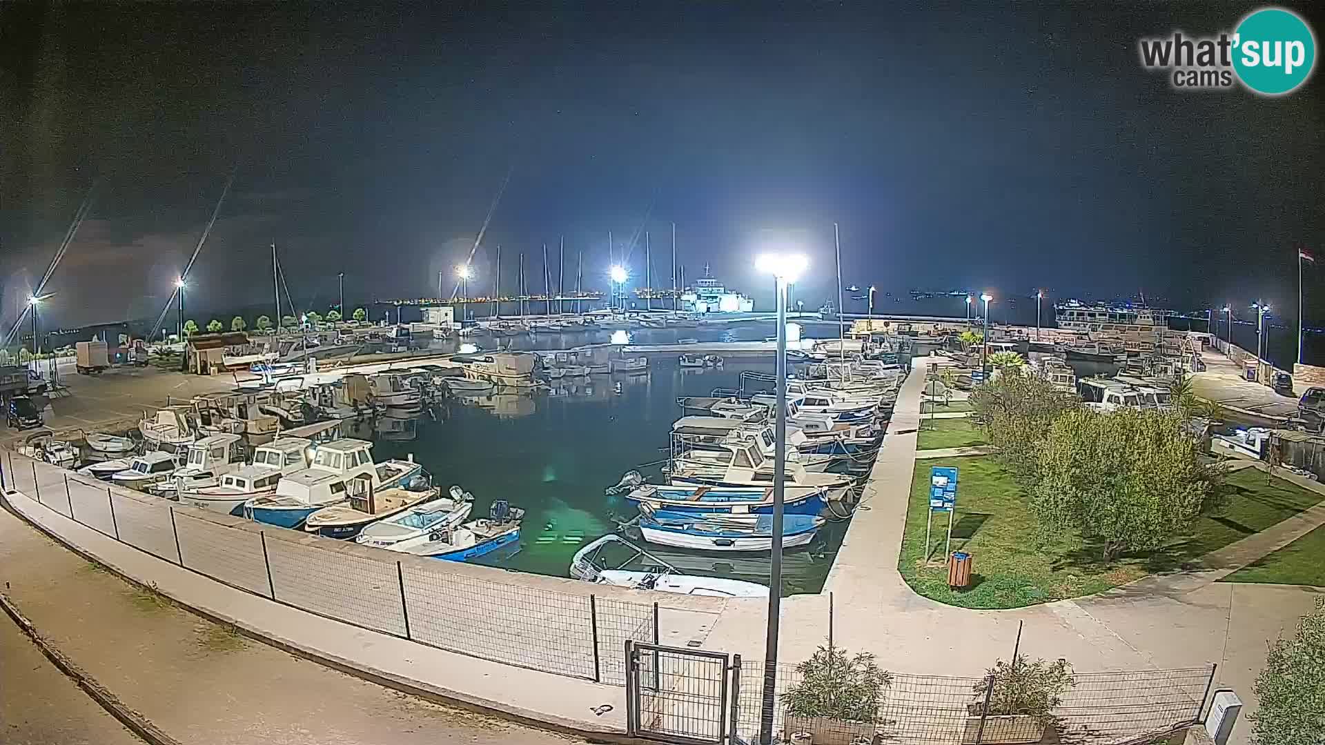 Webcam Live Tkon – puerto deportivo