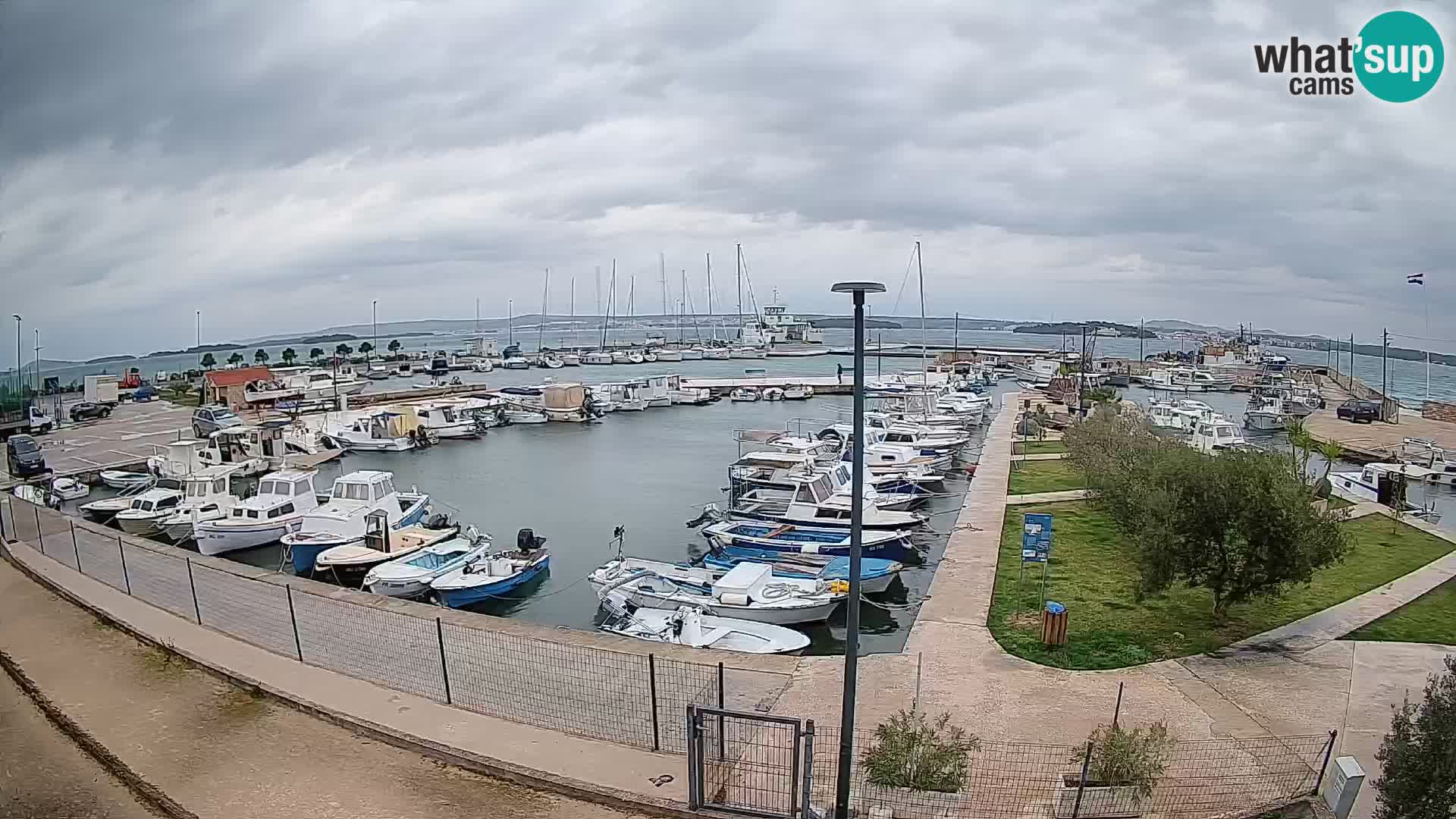 Web kamera Tkon – Marina