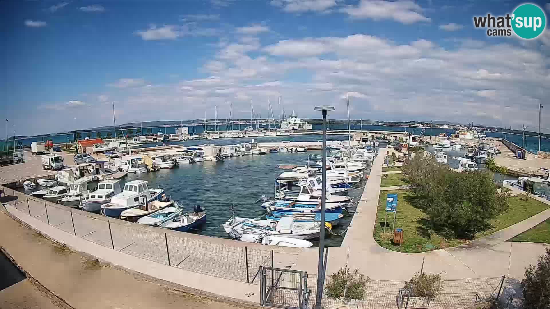 Webcam Live Tkon – Marina