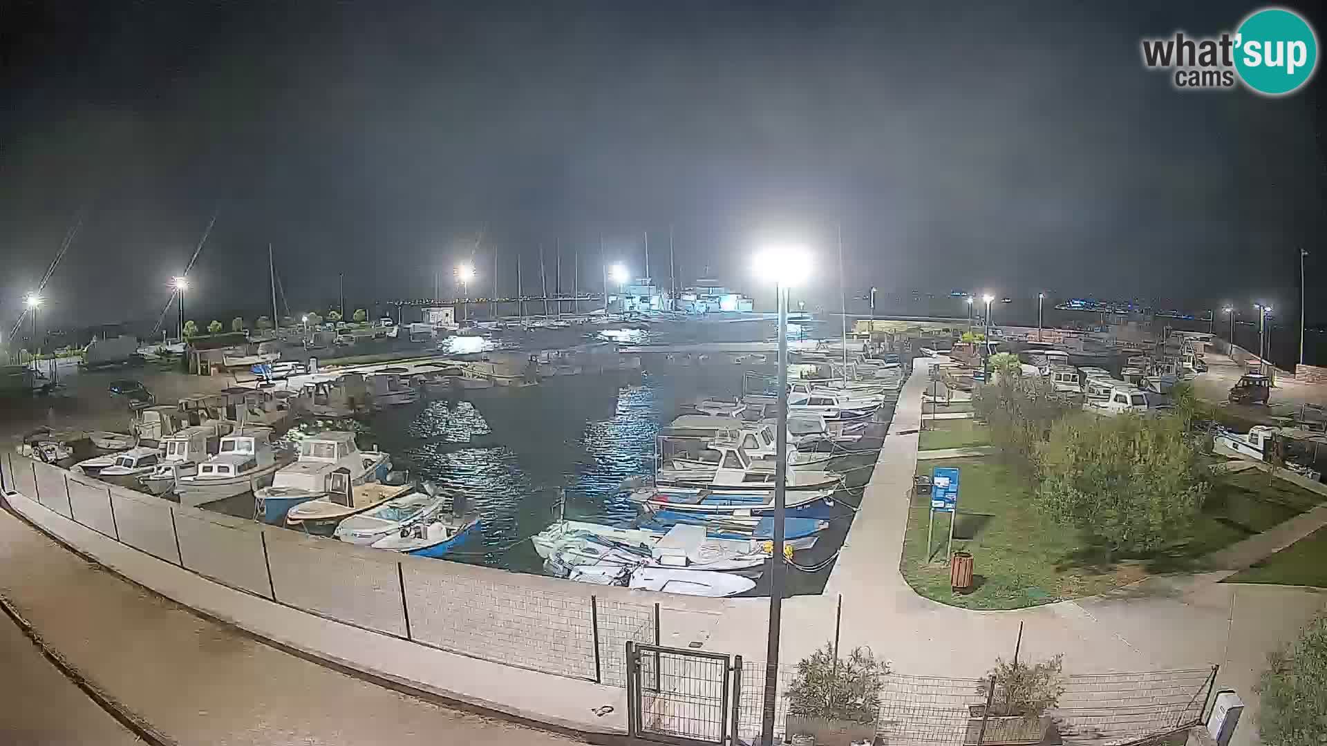 Webcam Live Tkon – Yachthafen