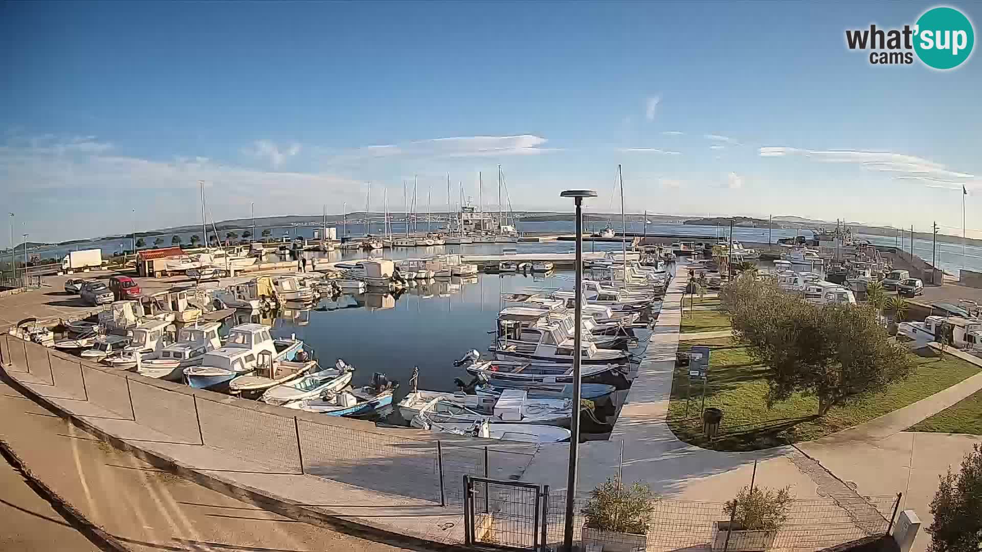 Webcam Live Tkon – Yachthafen