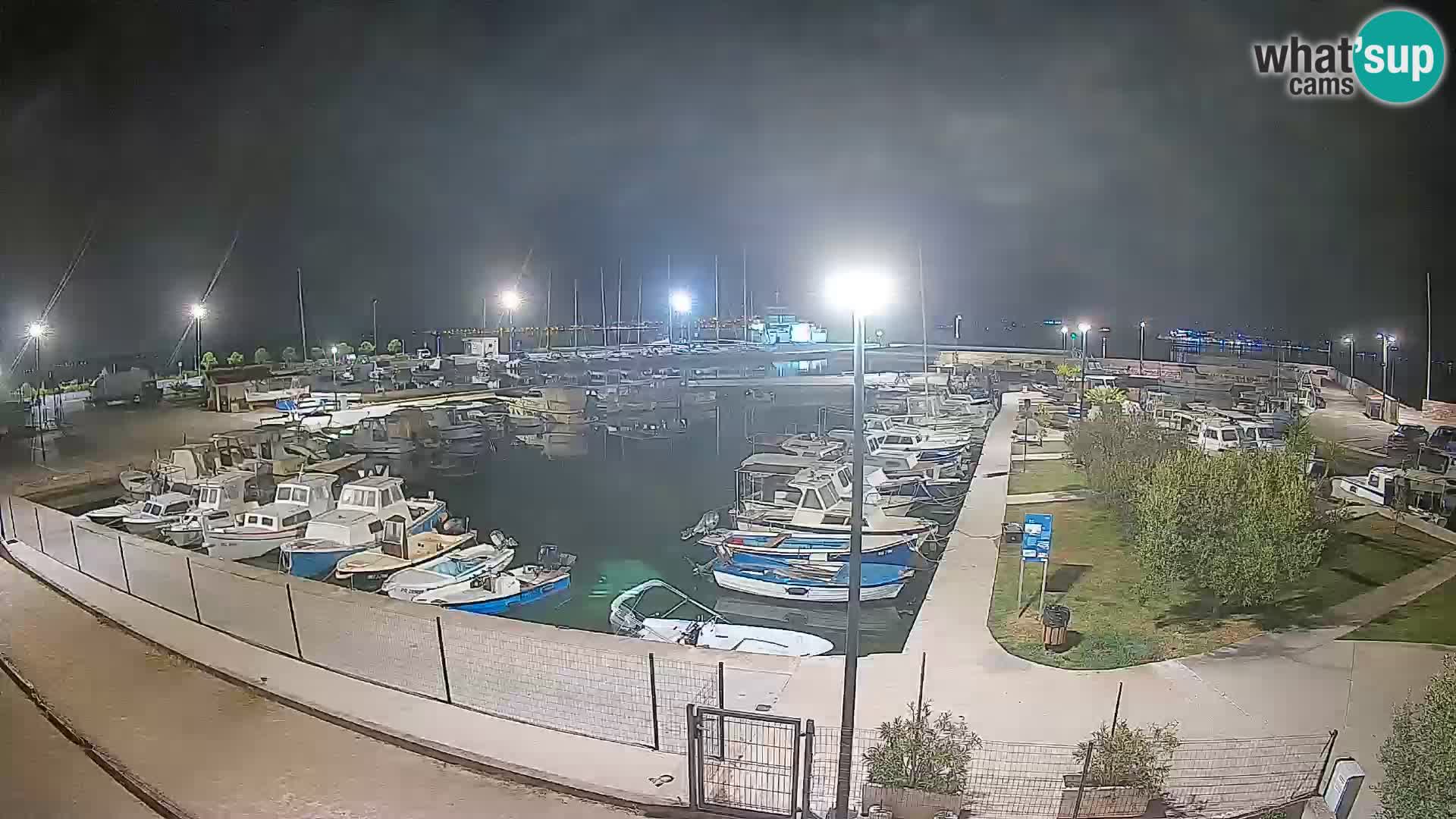 Webcam Live Tkon – Marina