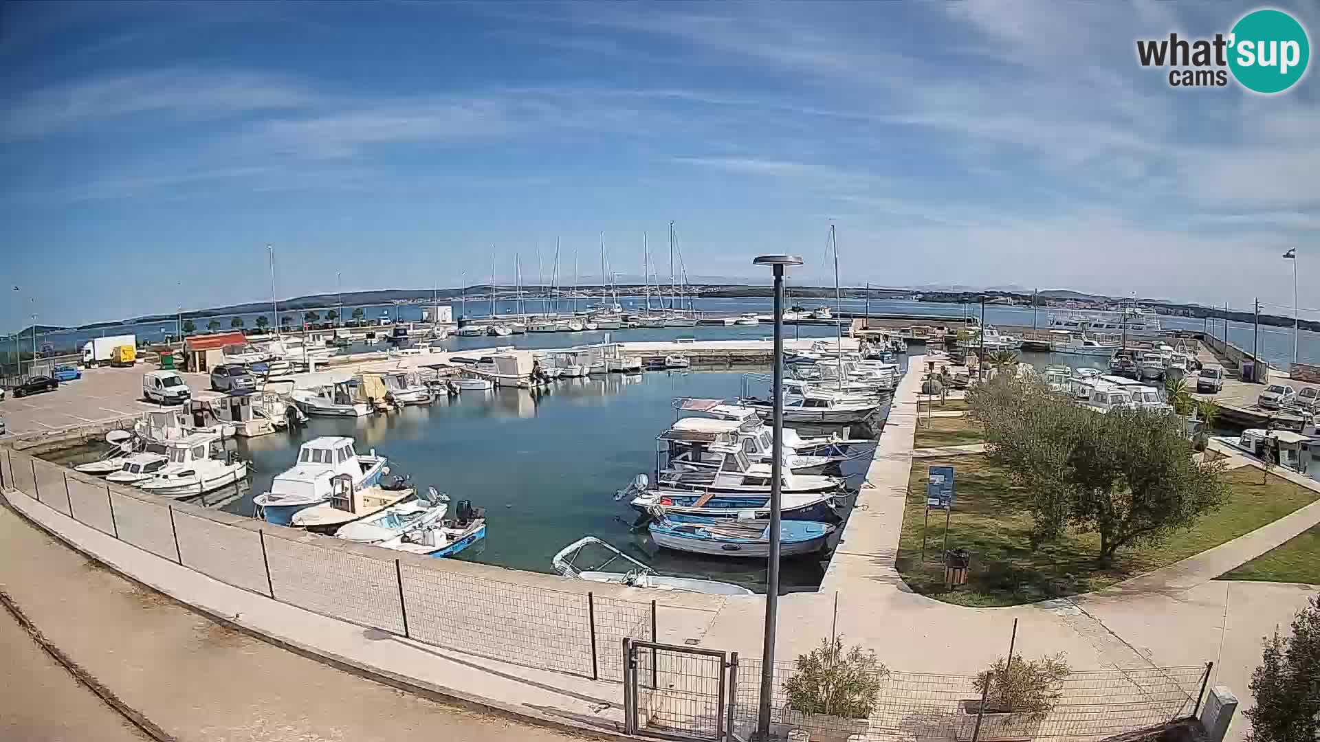 Webcam Live Tkon – Marina