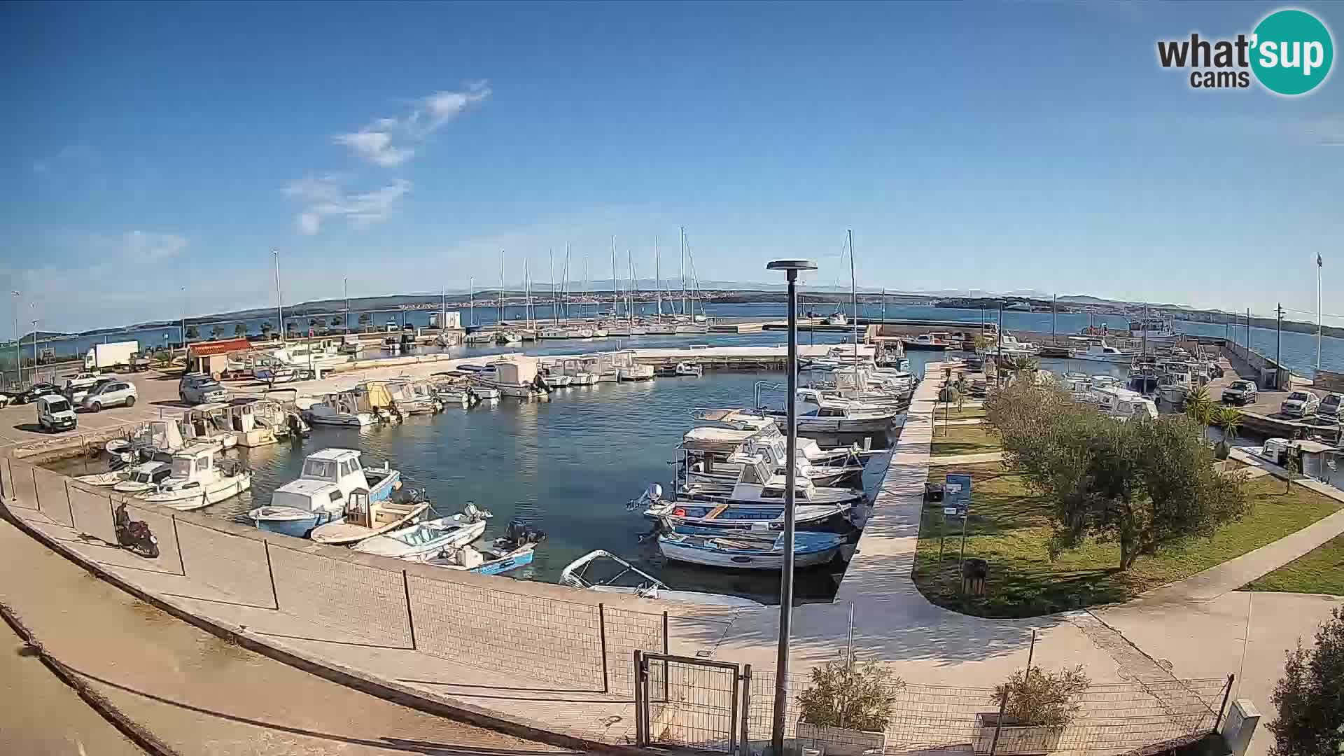 Webcam Live Tkon – Marina