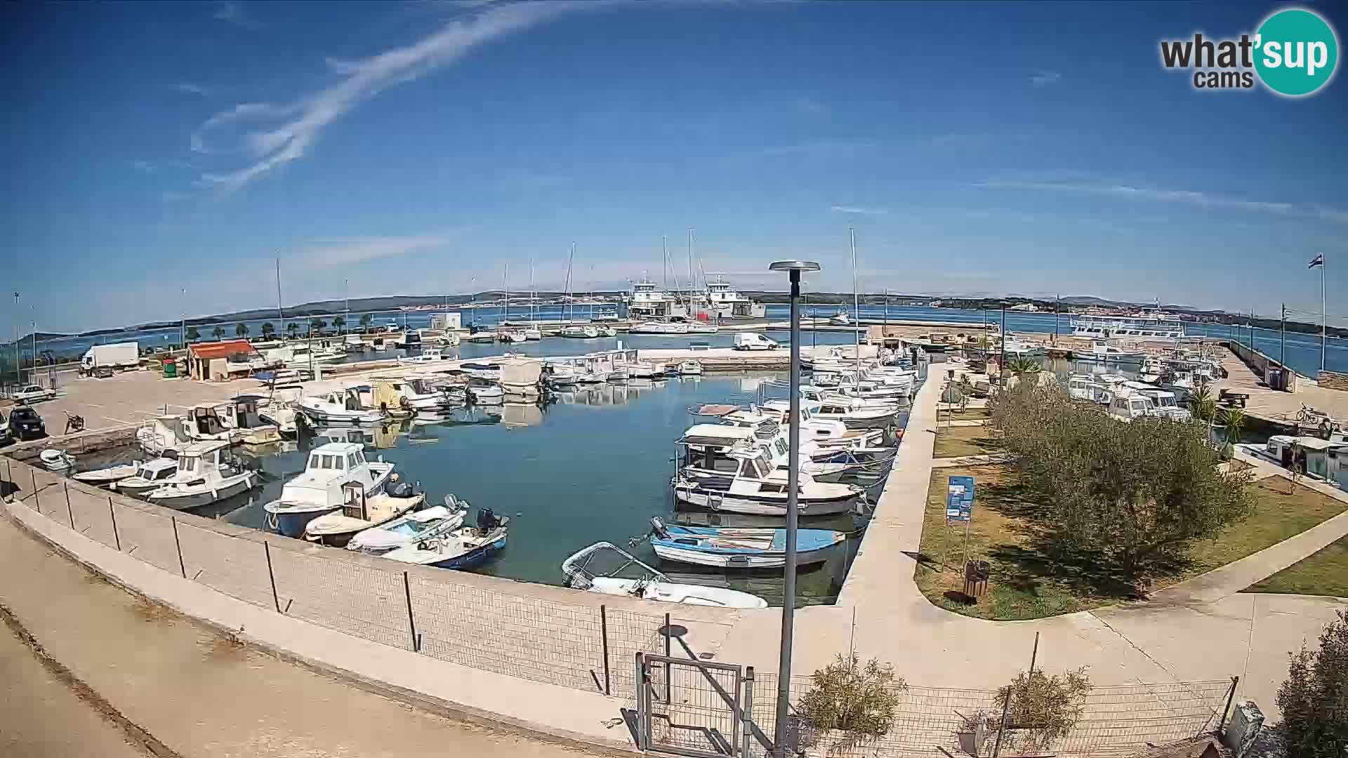 Webcam Live Tkon – Yachthafen